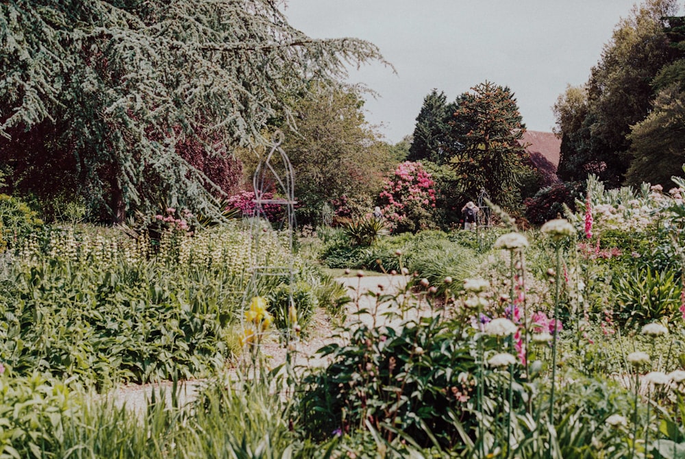 green and pink flower garden