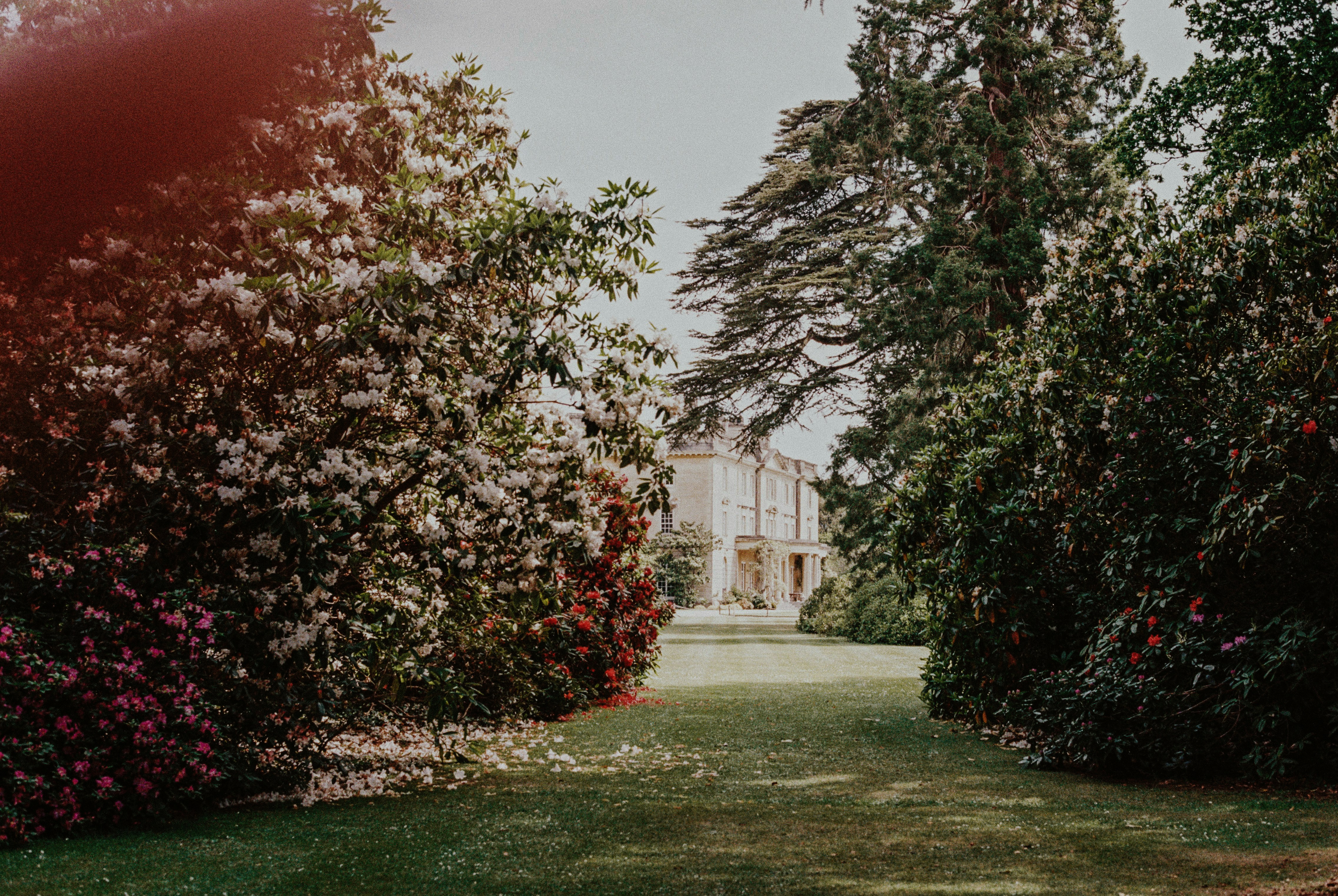 Black Holes as Laboratories: Testing Quantum Gravity Without Leaving Earth