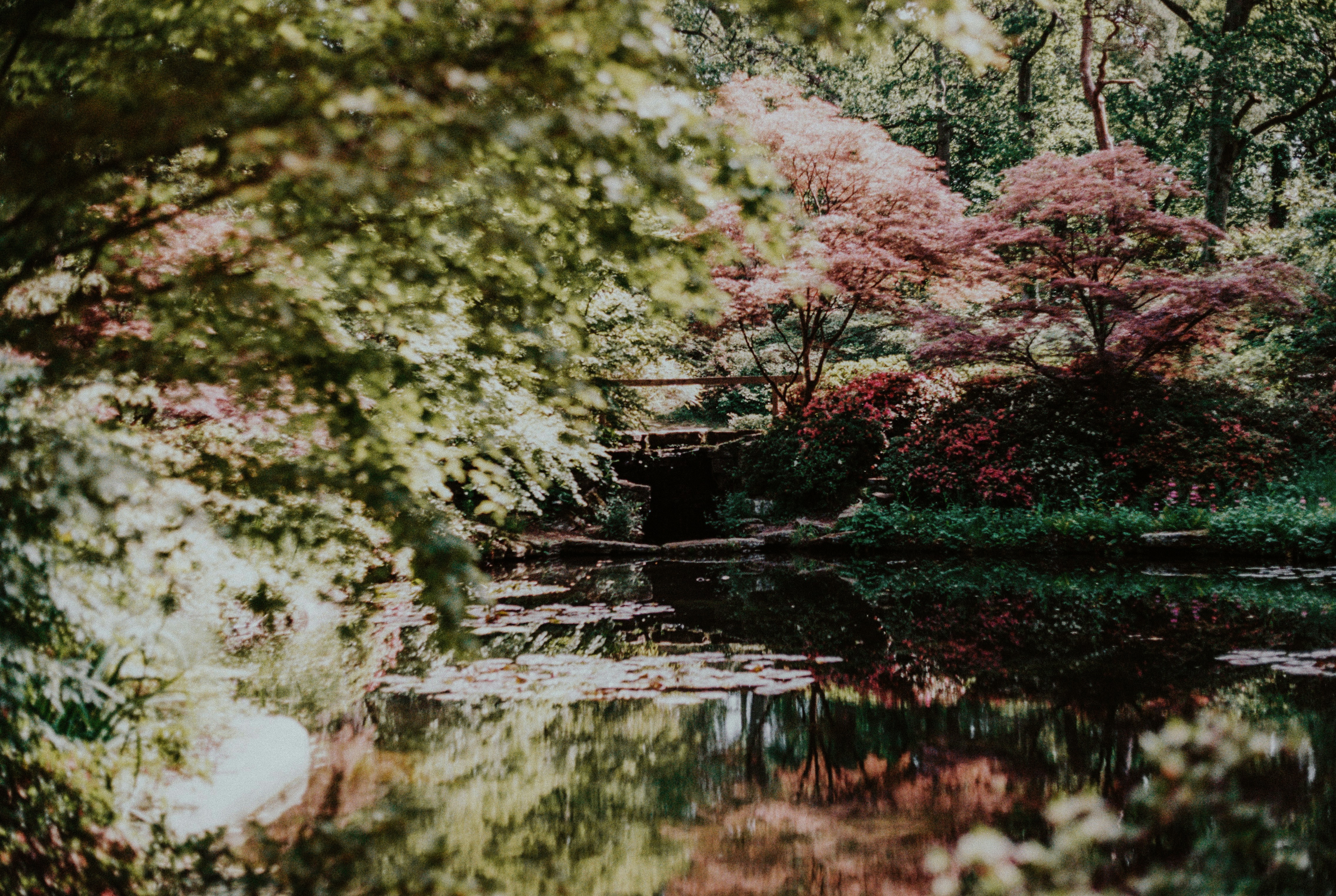 Photo by anniespratt