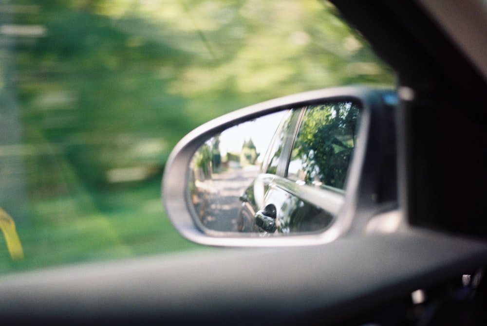 car side mirror showing green trees during daytime