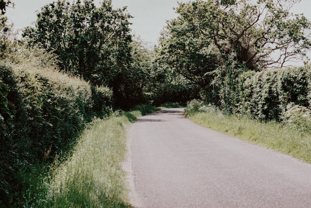 gray concrete road between green grass and trees during daytime