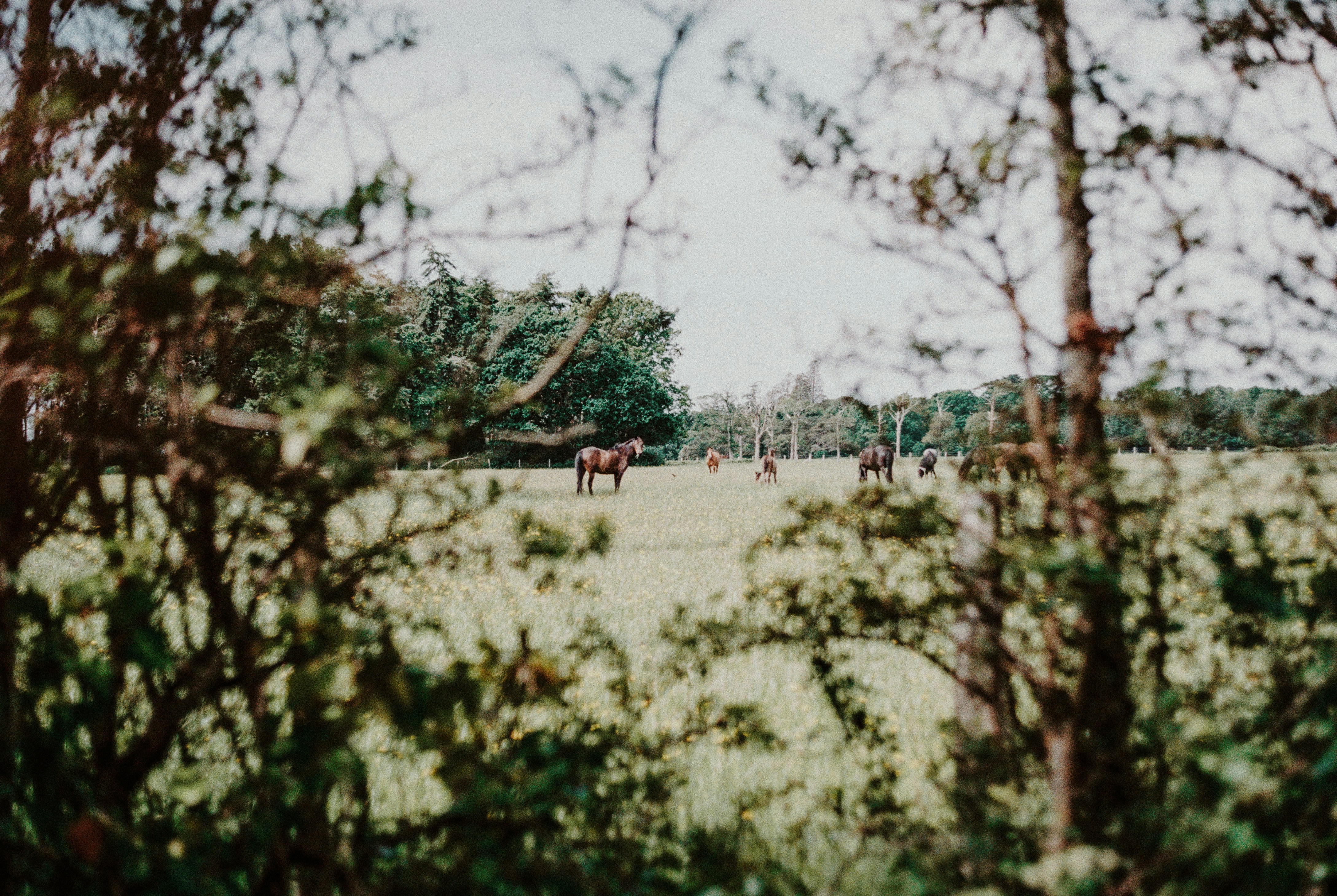 Photo by anniespratt