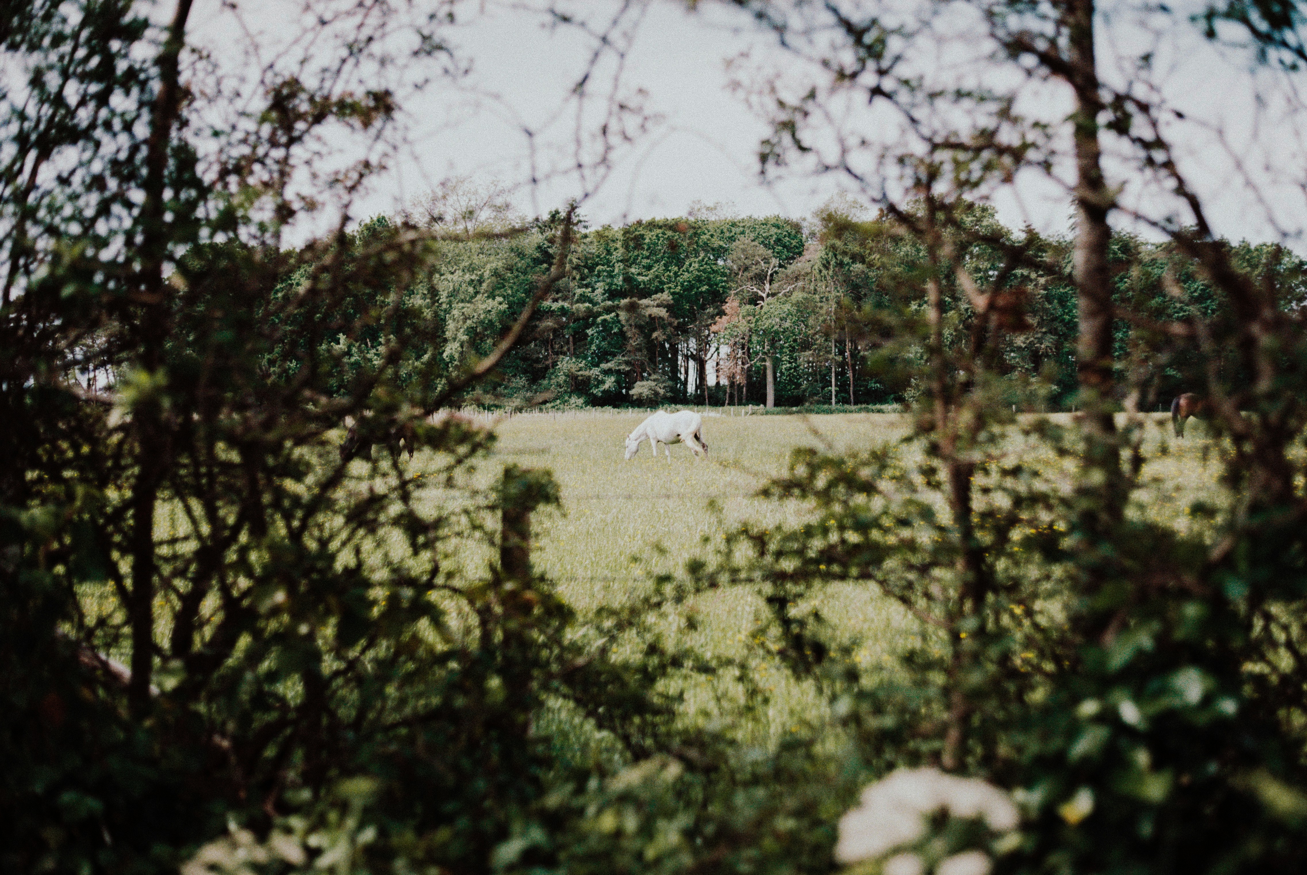 Photo by anniespratt