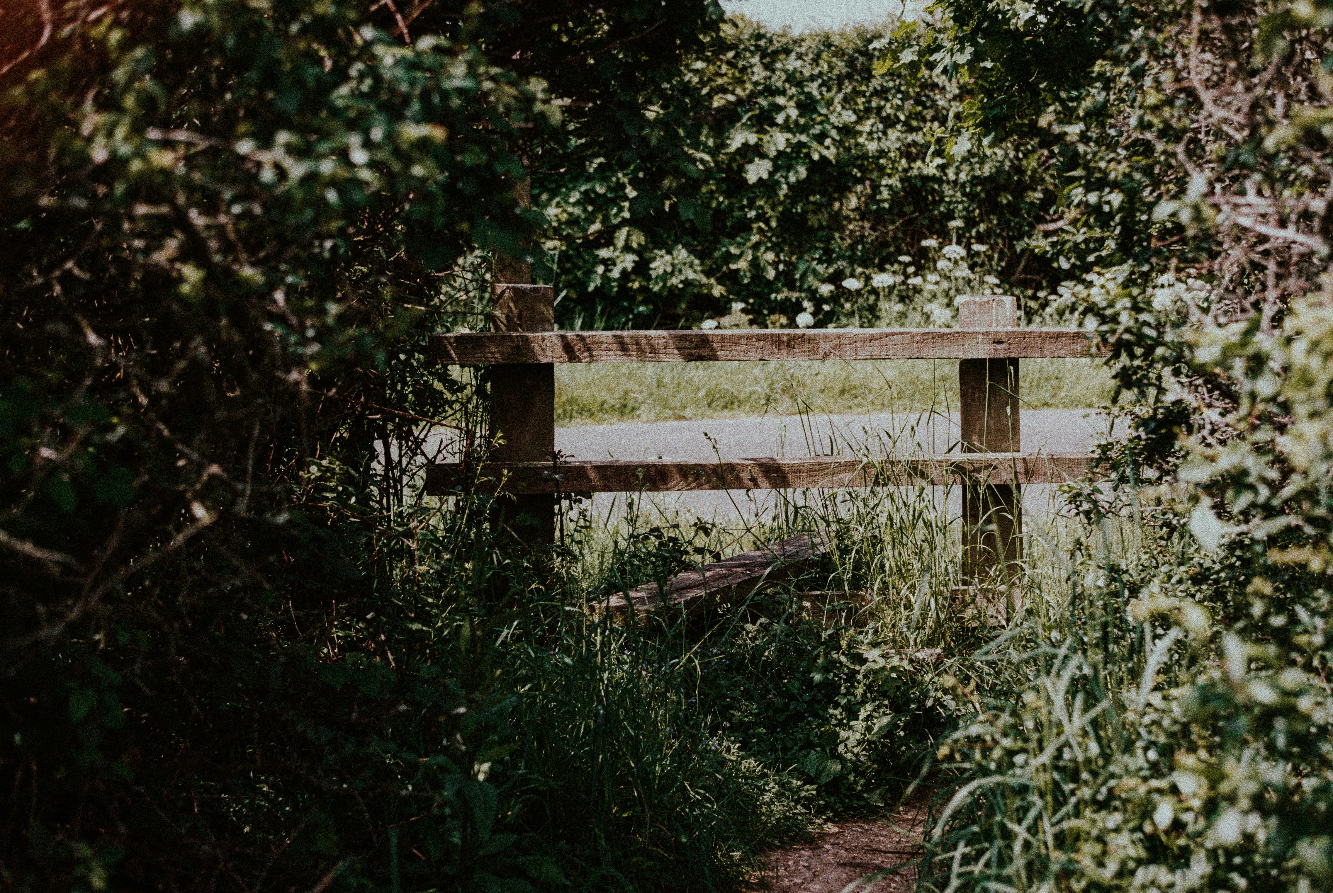 Photo by anniespratt