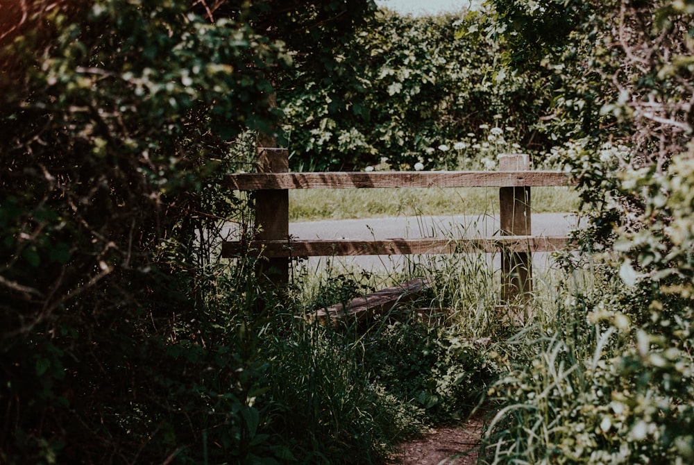 brown wooden bench near green trees during daytime