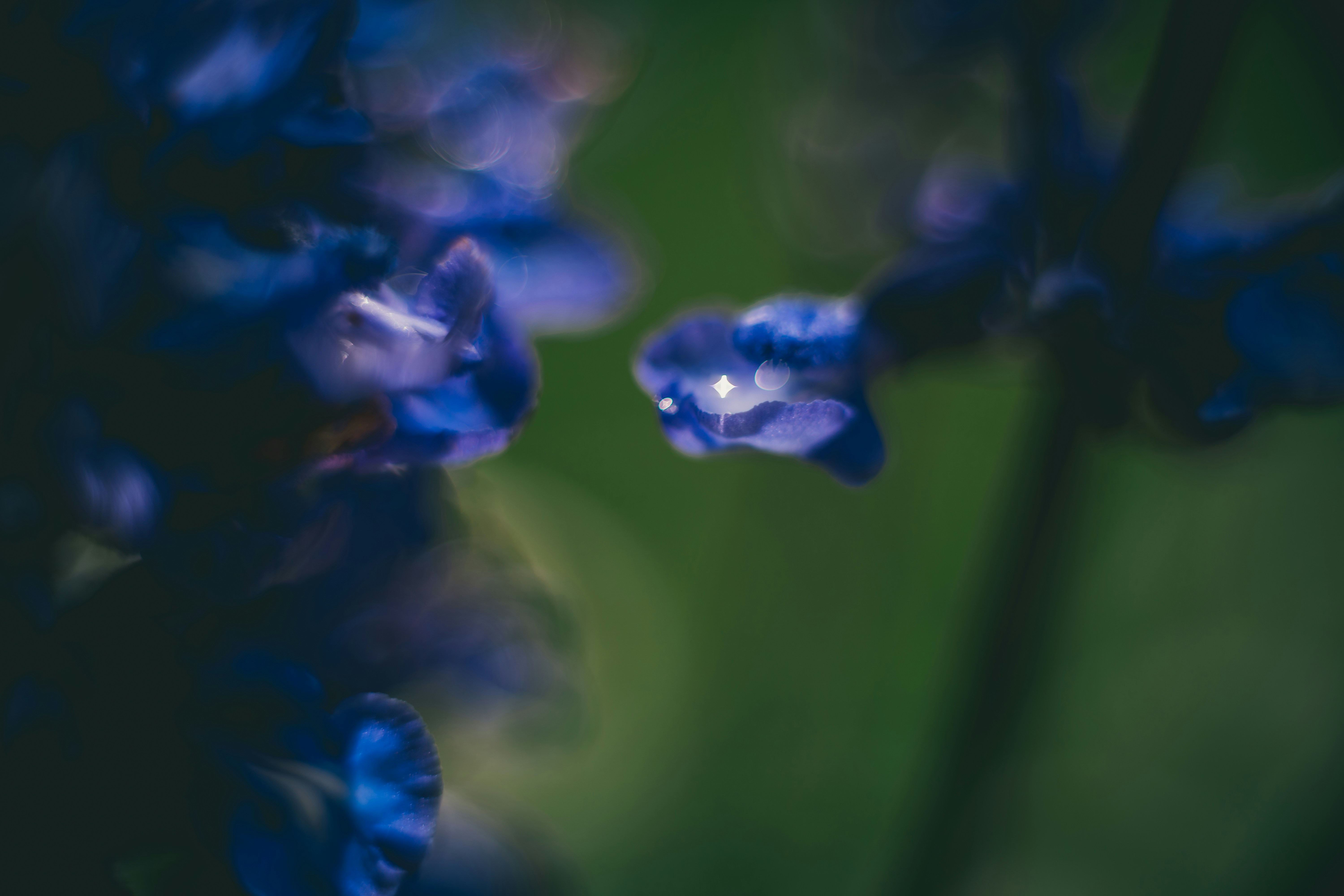 Photo by raimondklavins