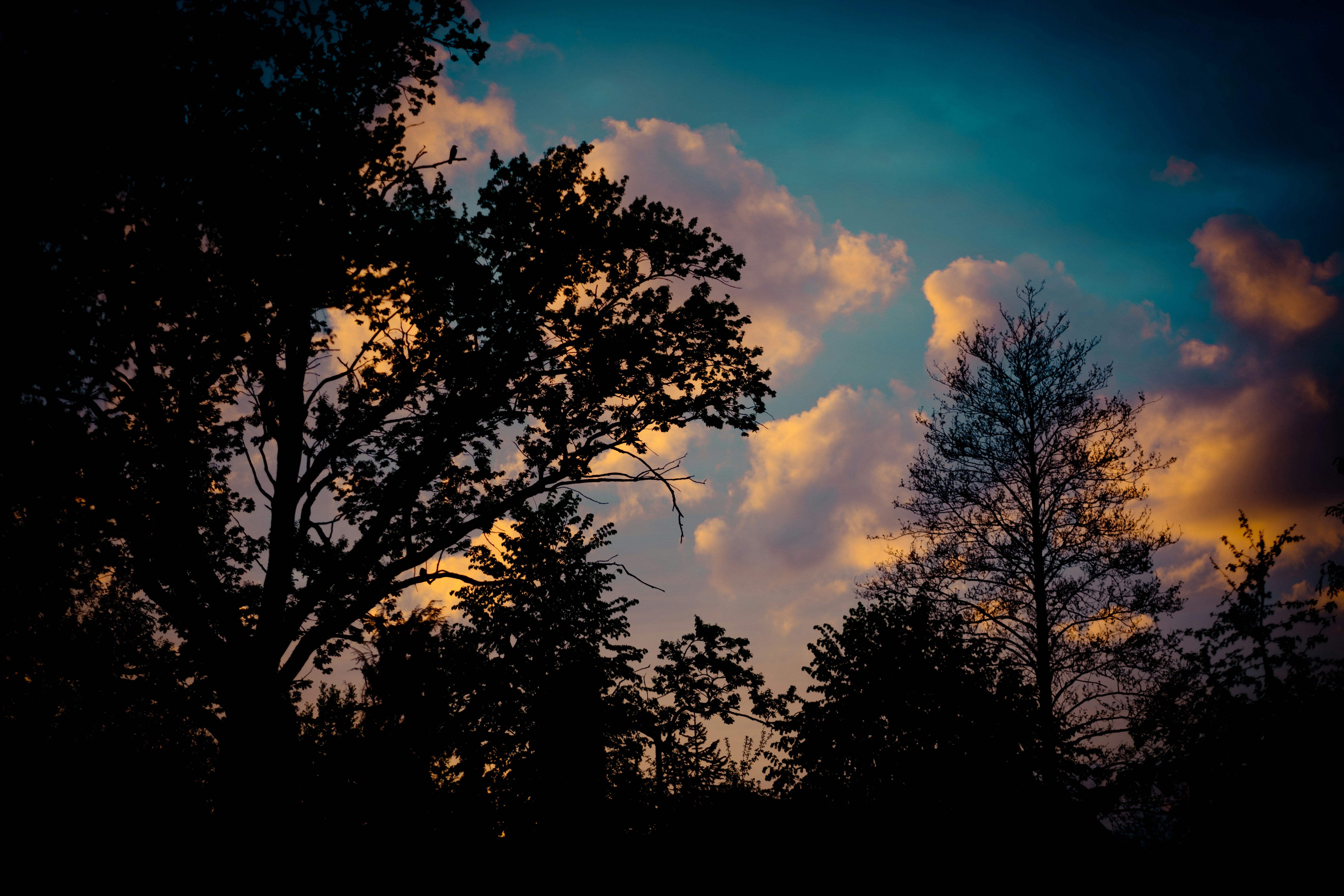 Photo by raimondklavins