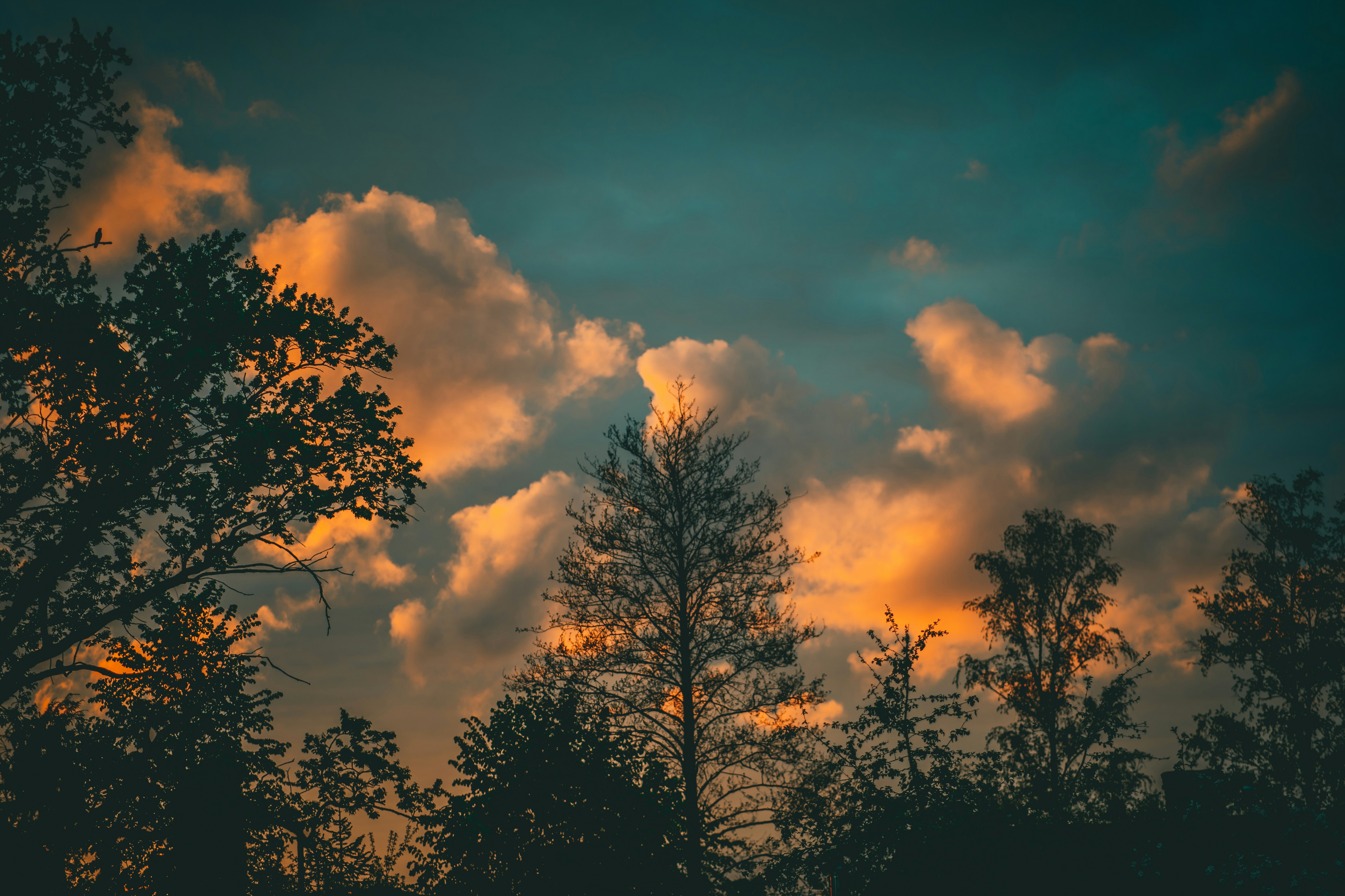 Photo by raimondklavins