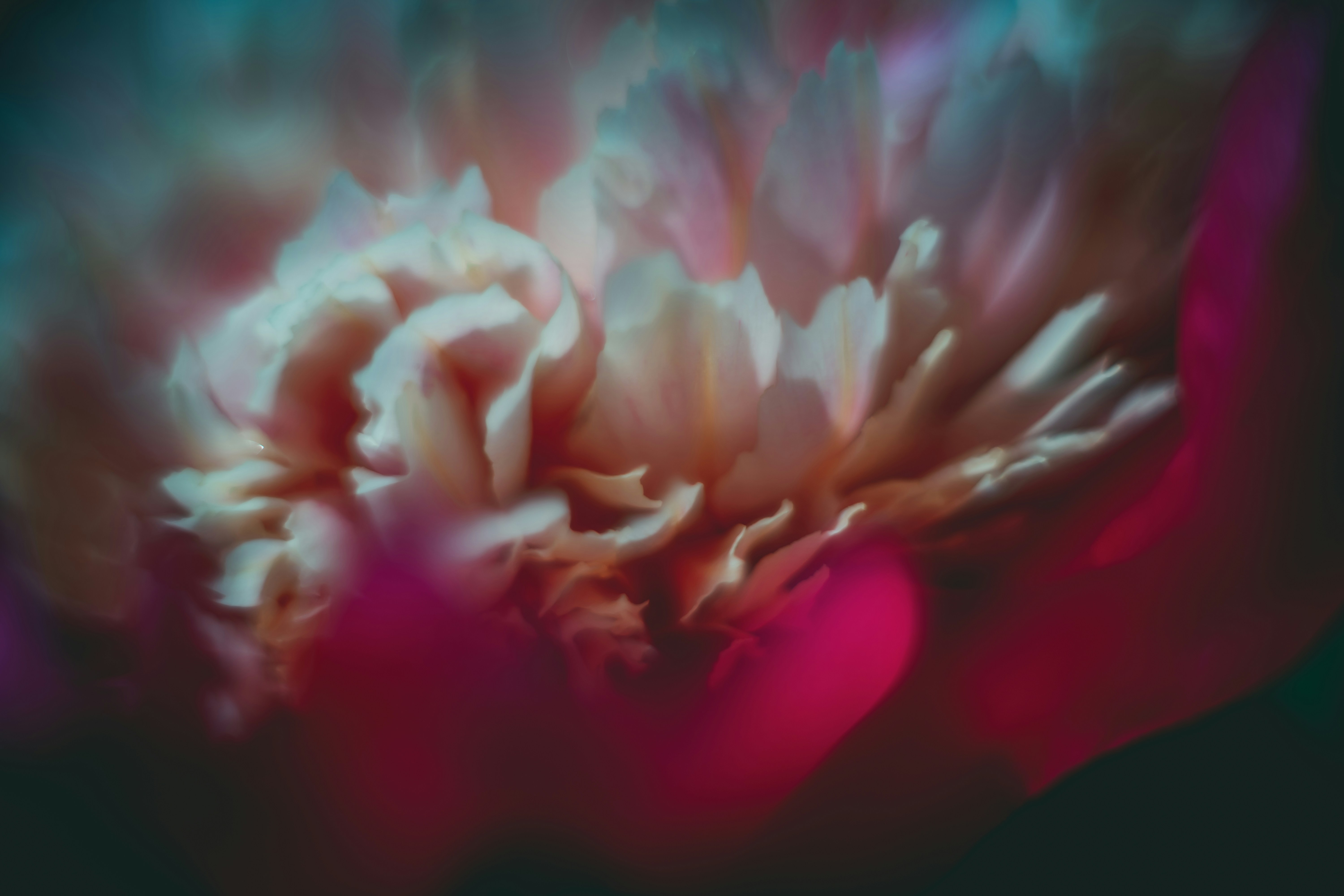 Photo by raimondklavins