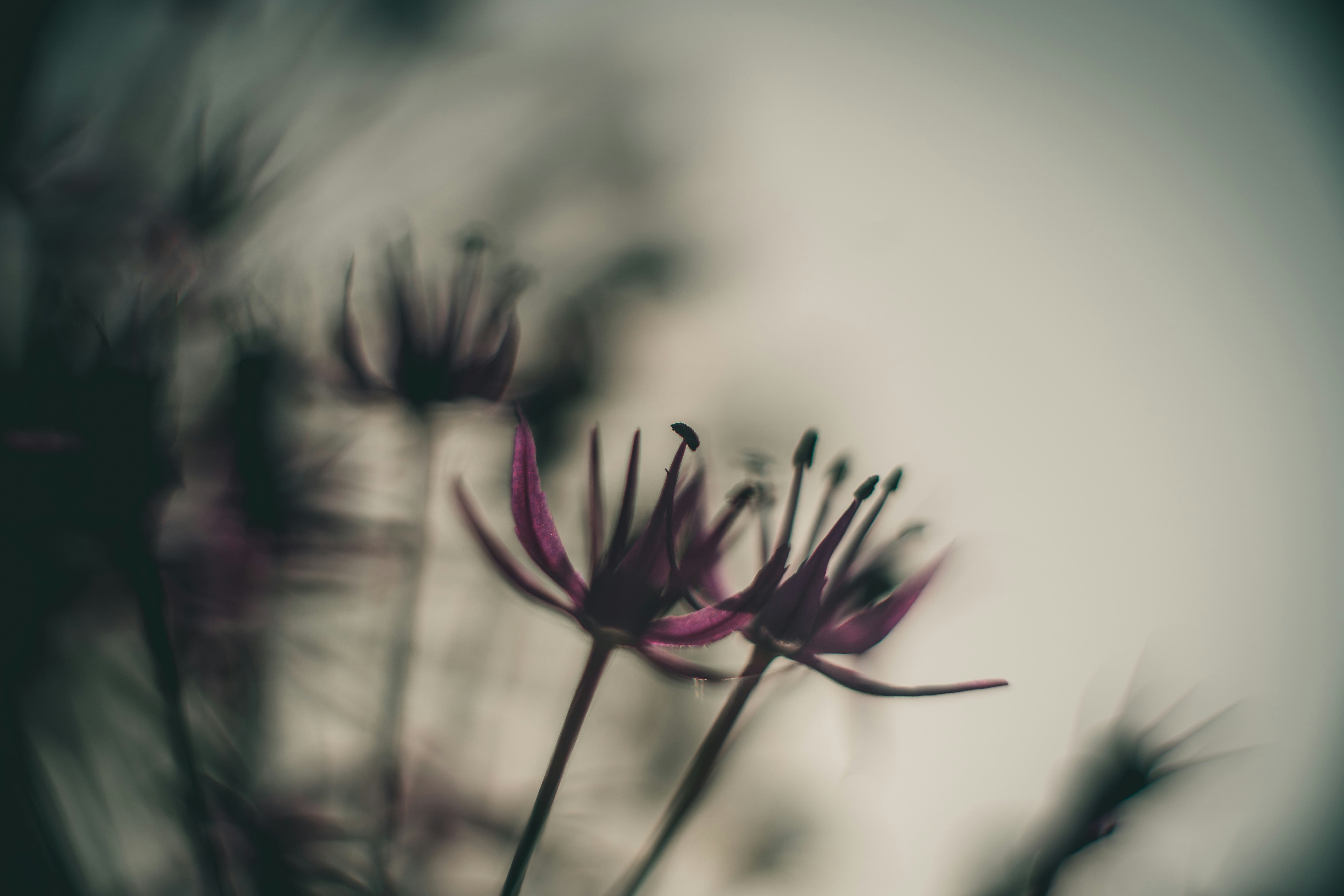 Photo by raimondklavins