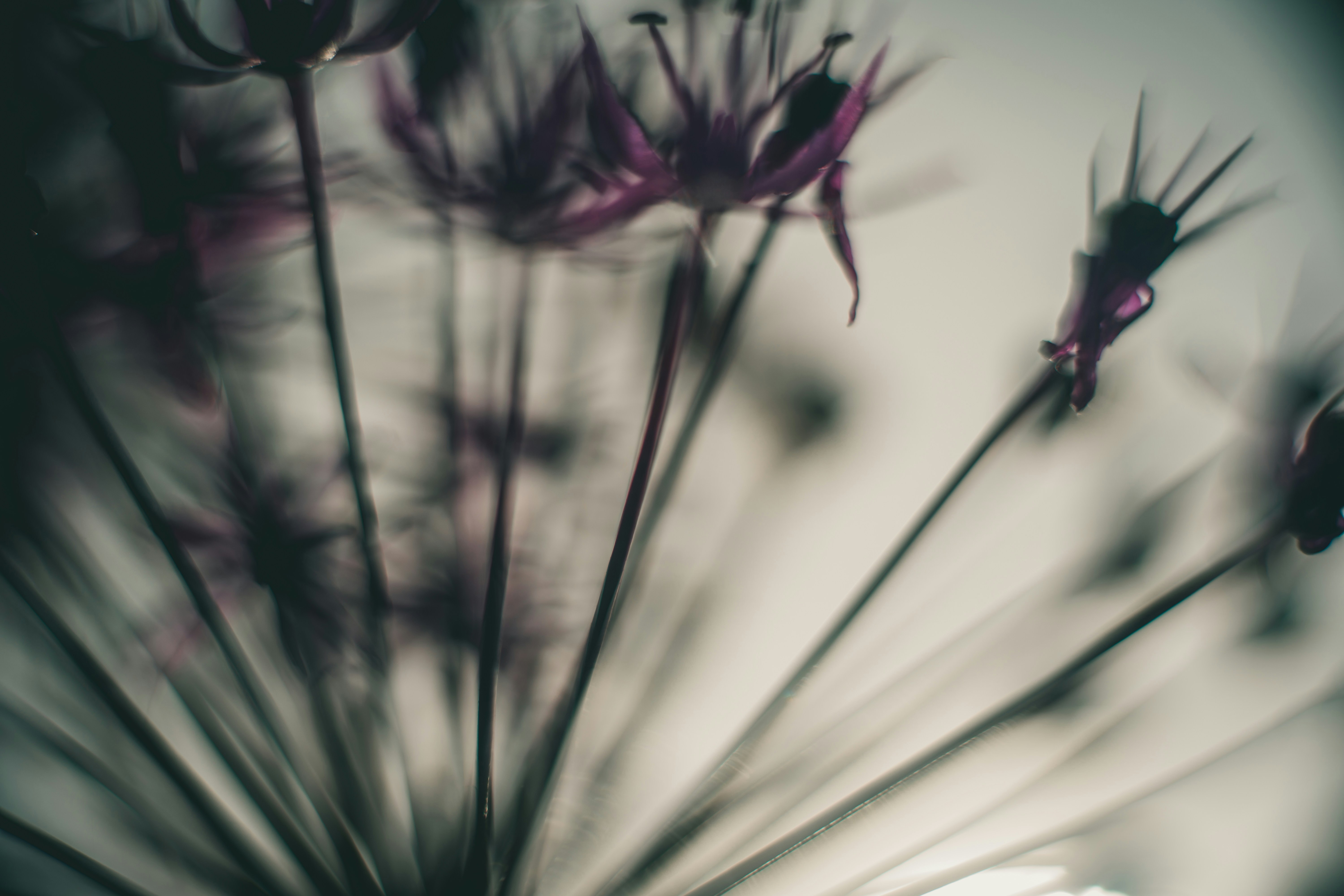 Photo by raimondklavins