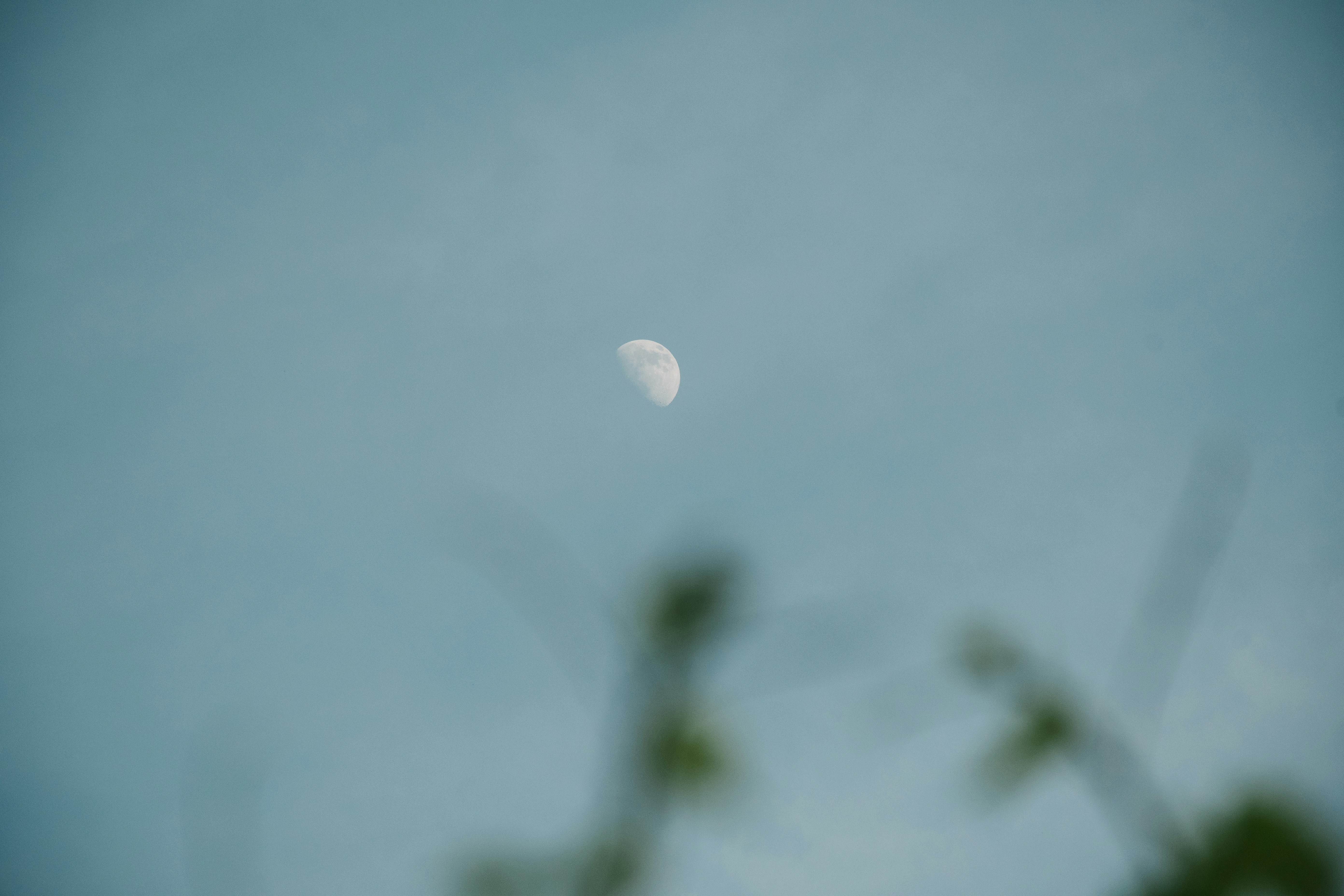 Photo by ijphot
