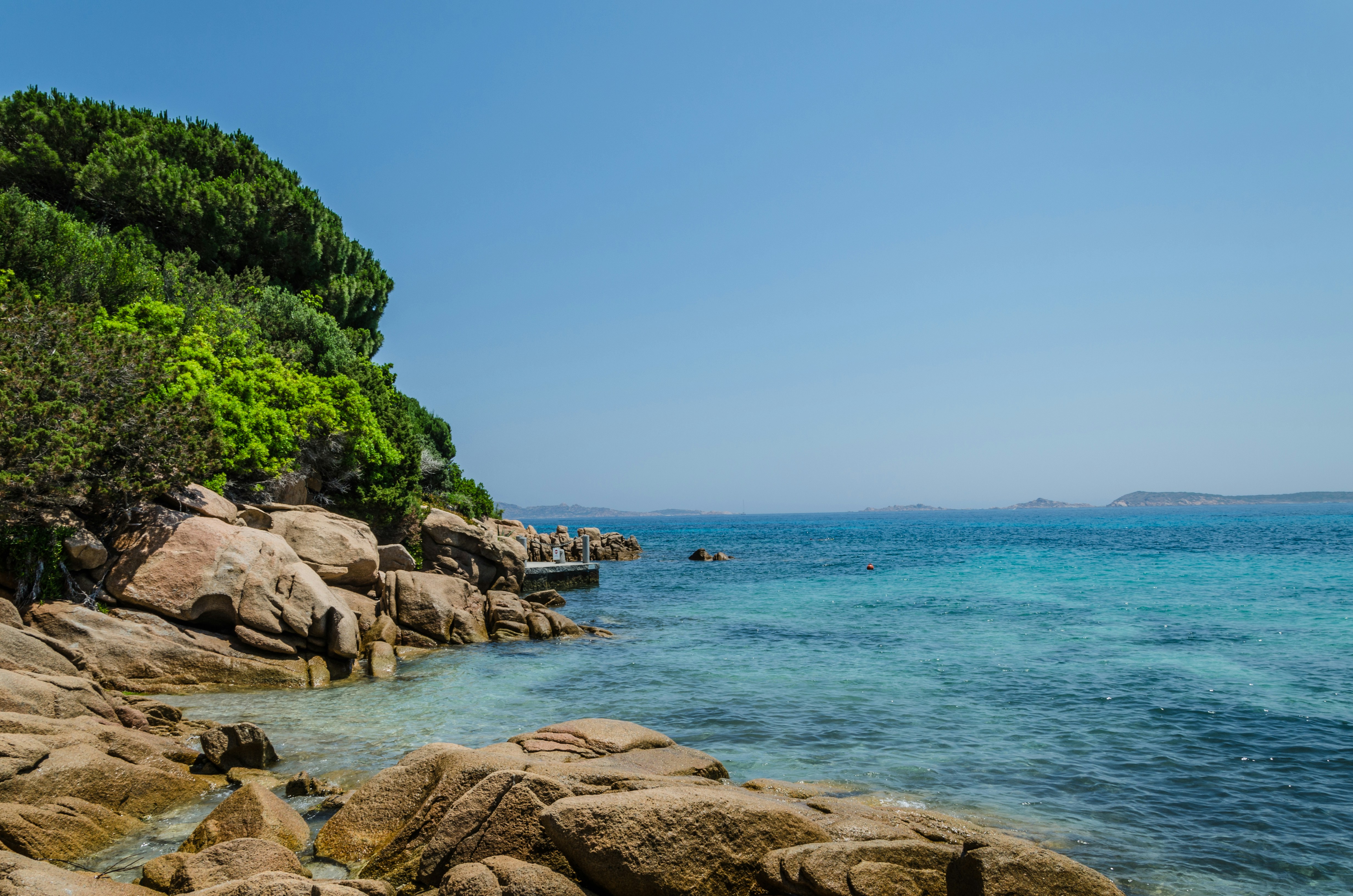 Photo by nazarhaponov