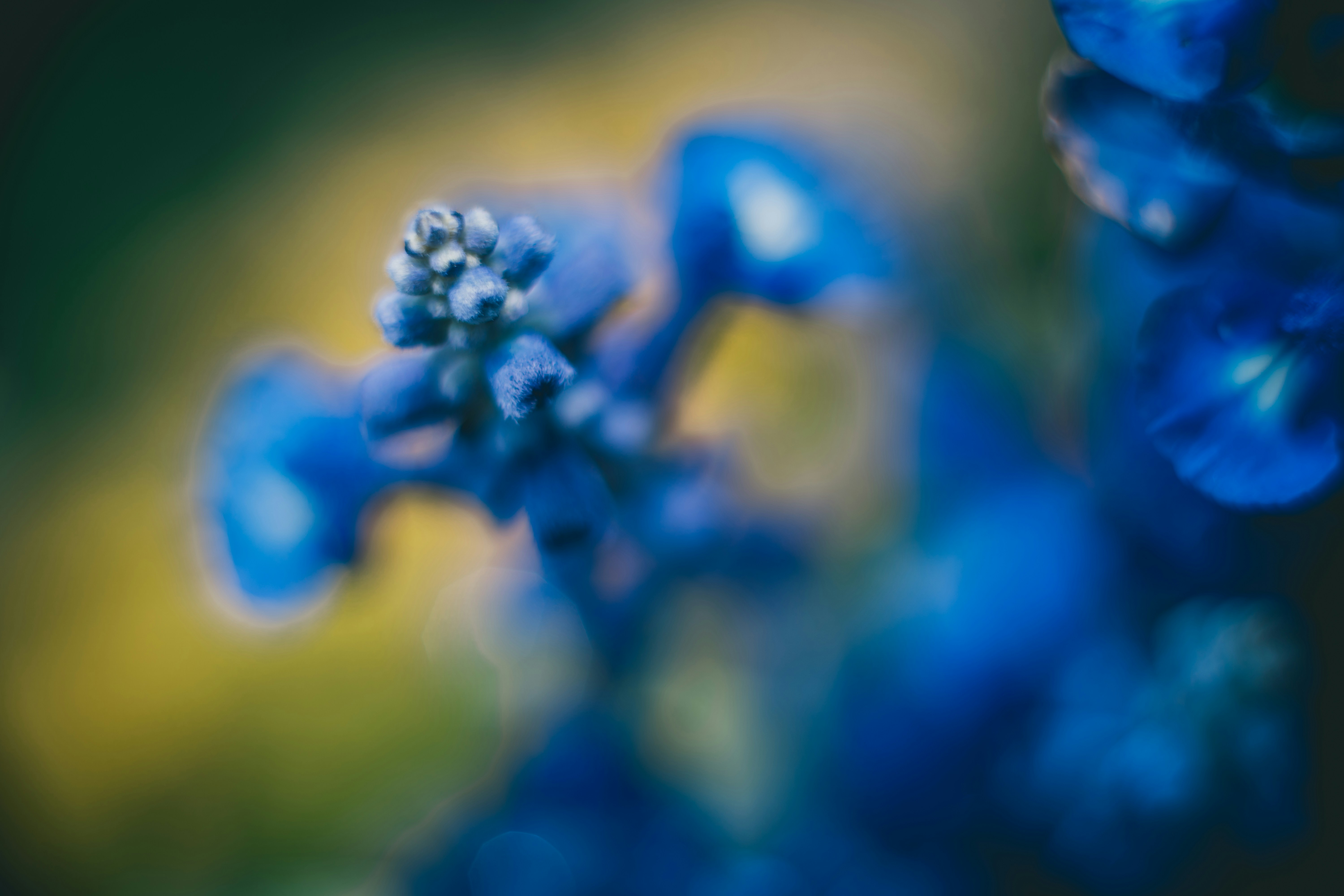 Photo by raimondklavins