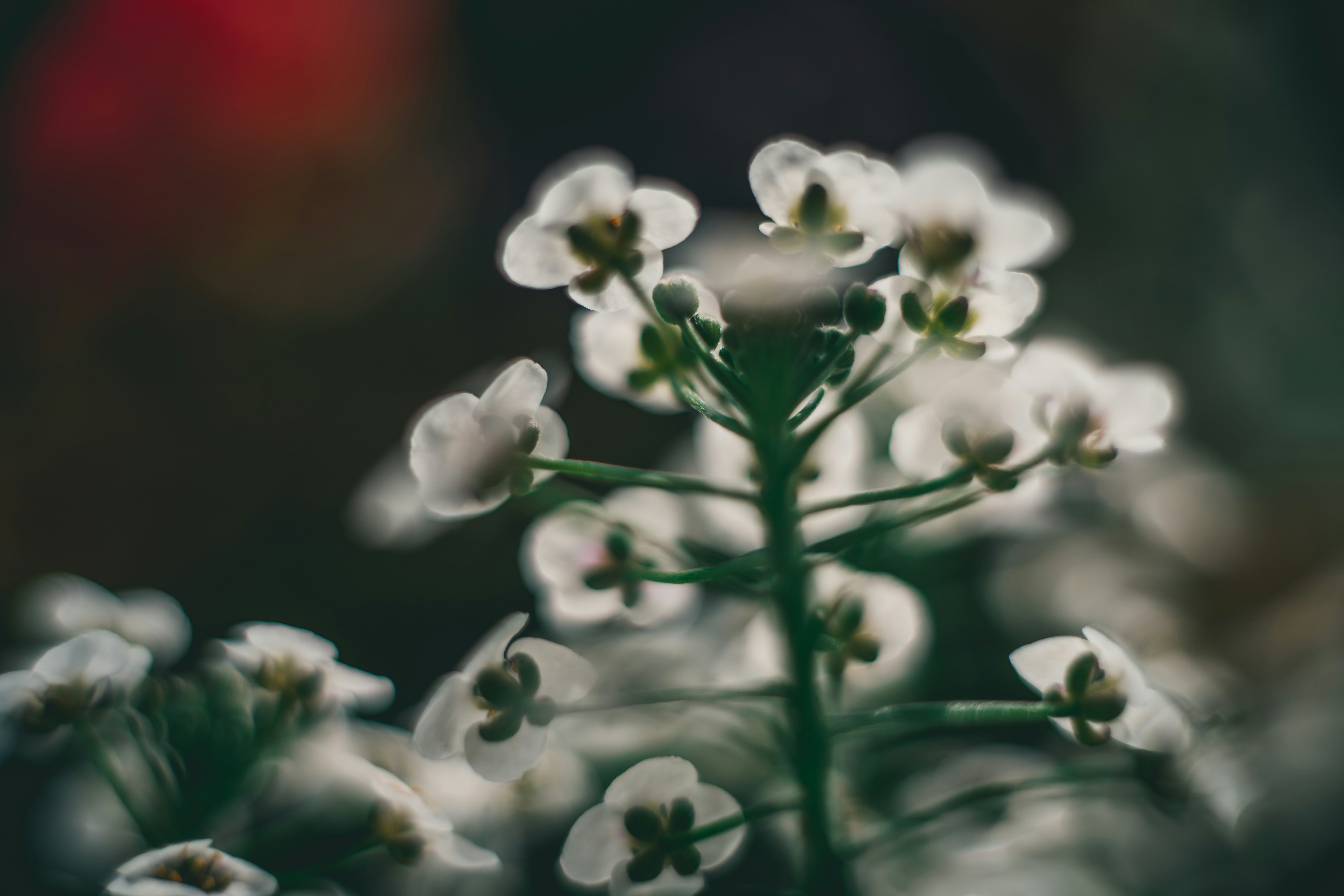 Photo by raimondklavins