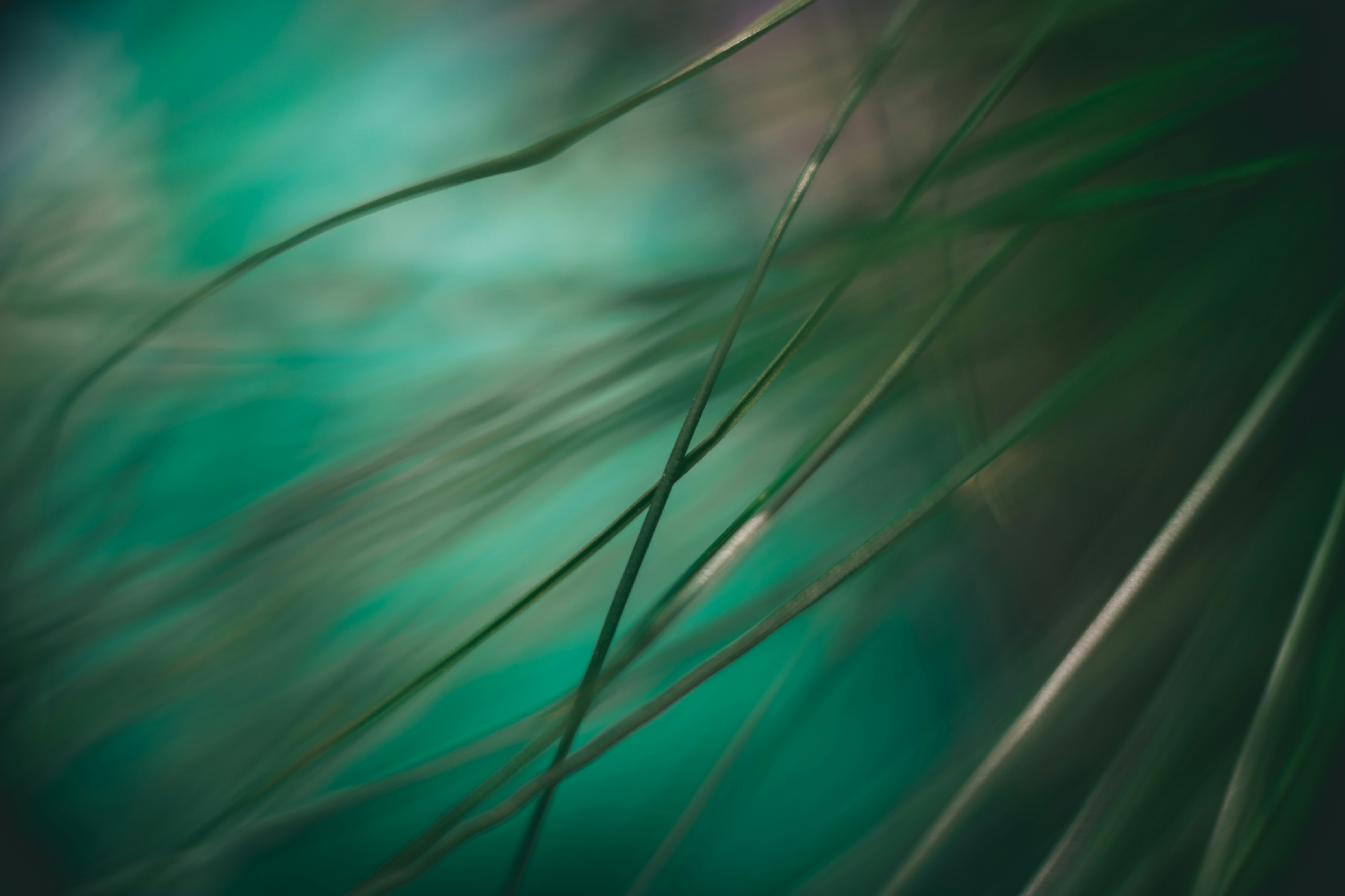 Photo by raimondklavins