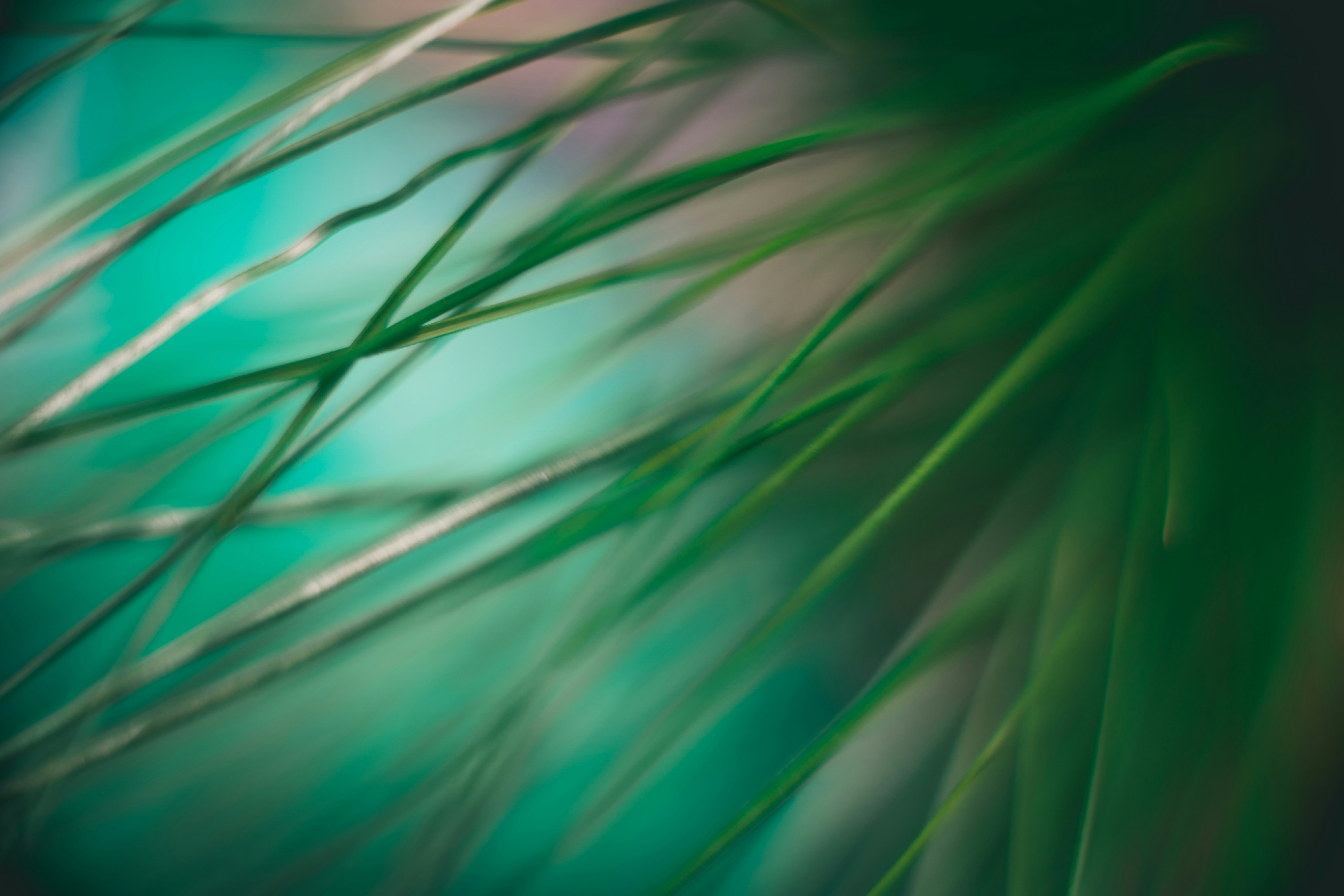 Photo by raimondklavins