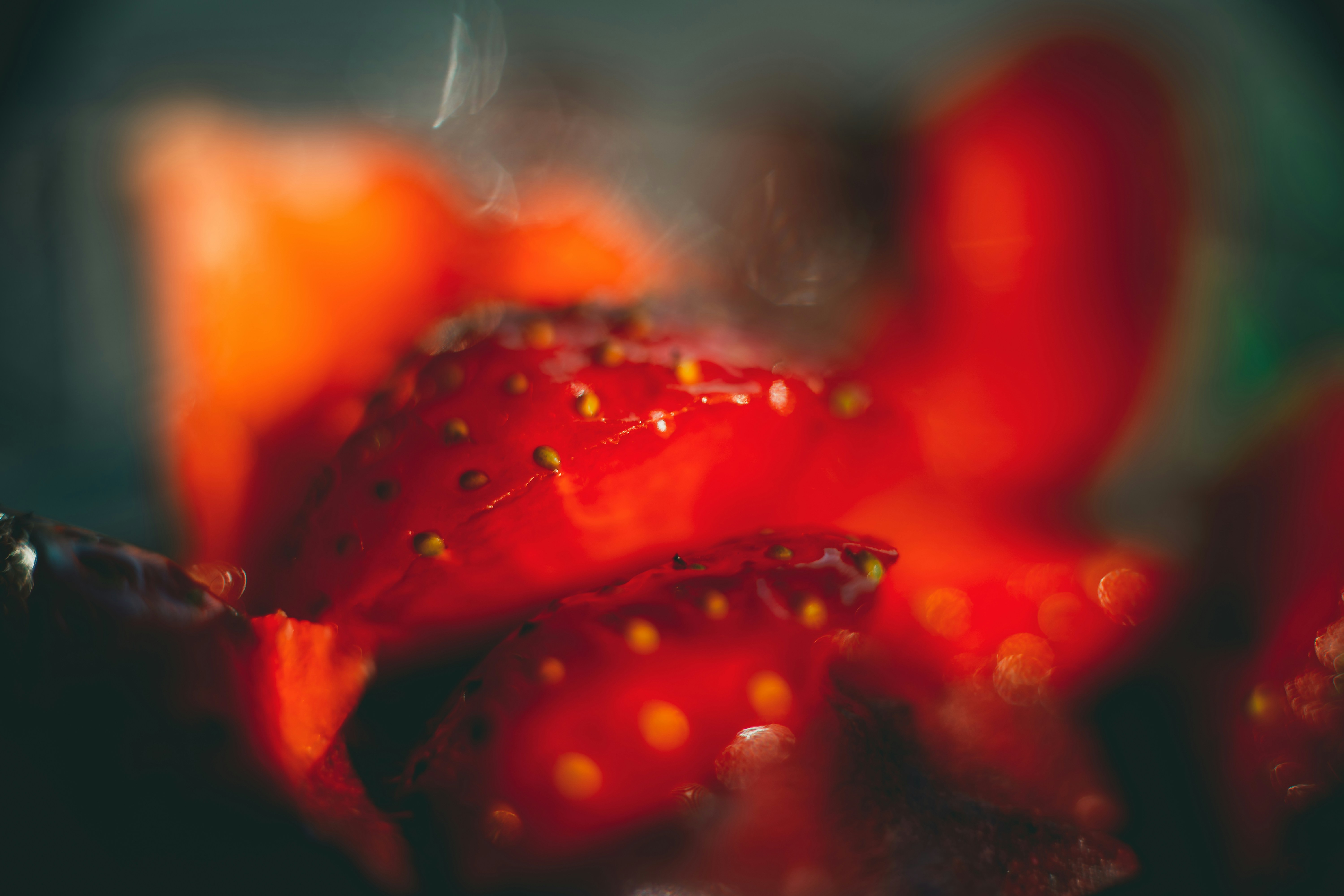 Photo by raimondklavins