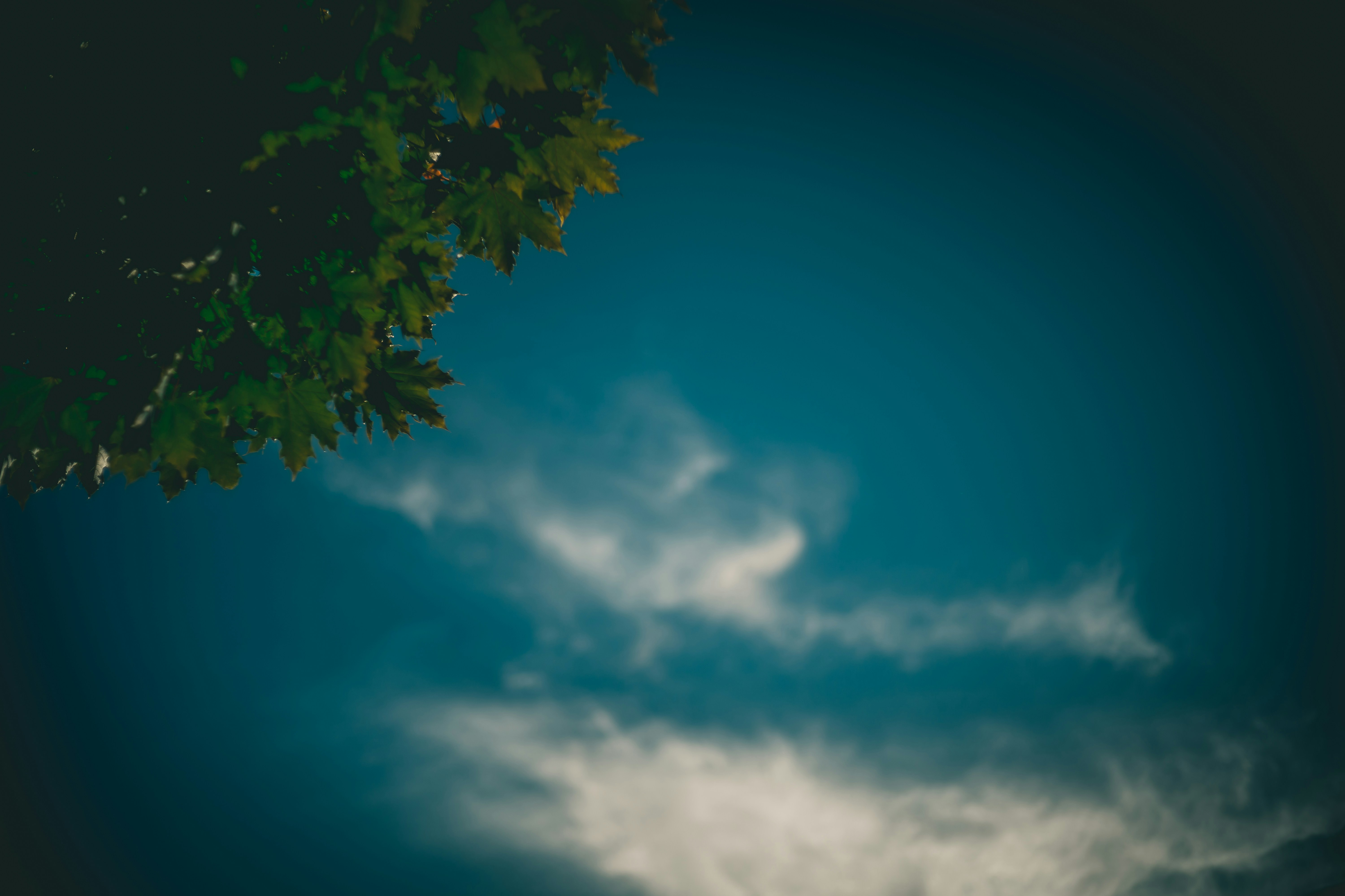 Photo by raimondklavins