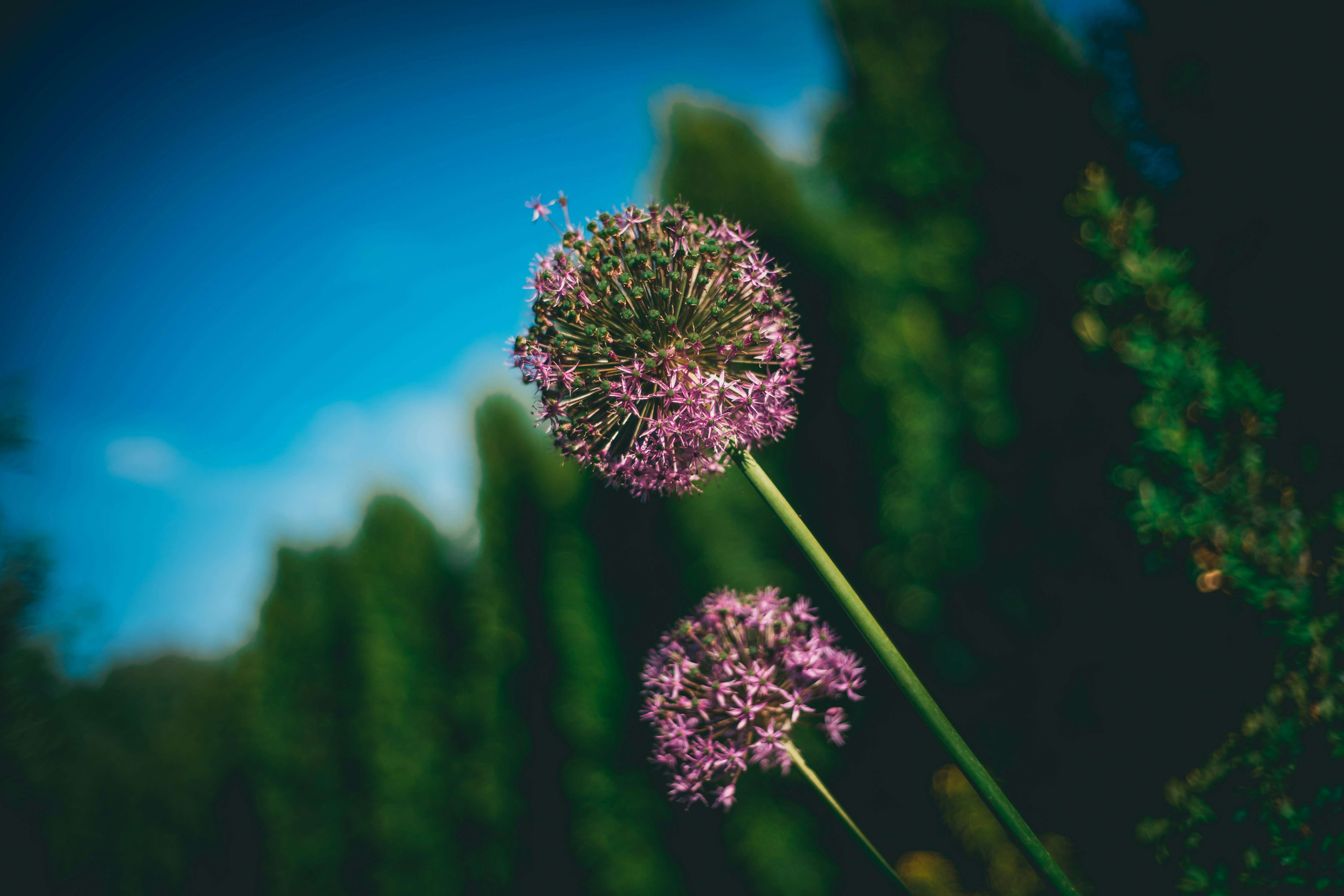 Photo by raimondklavins