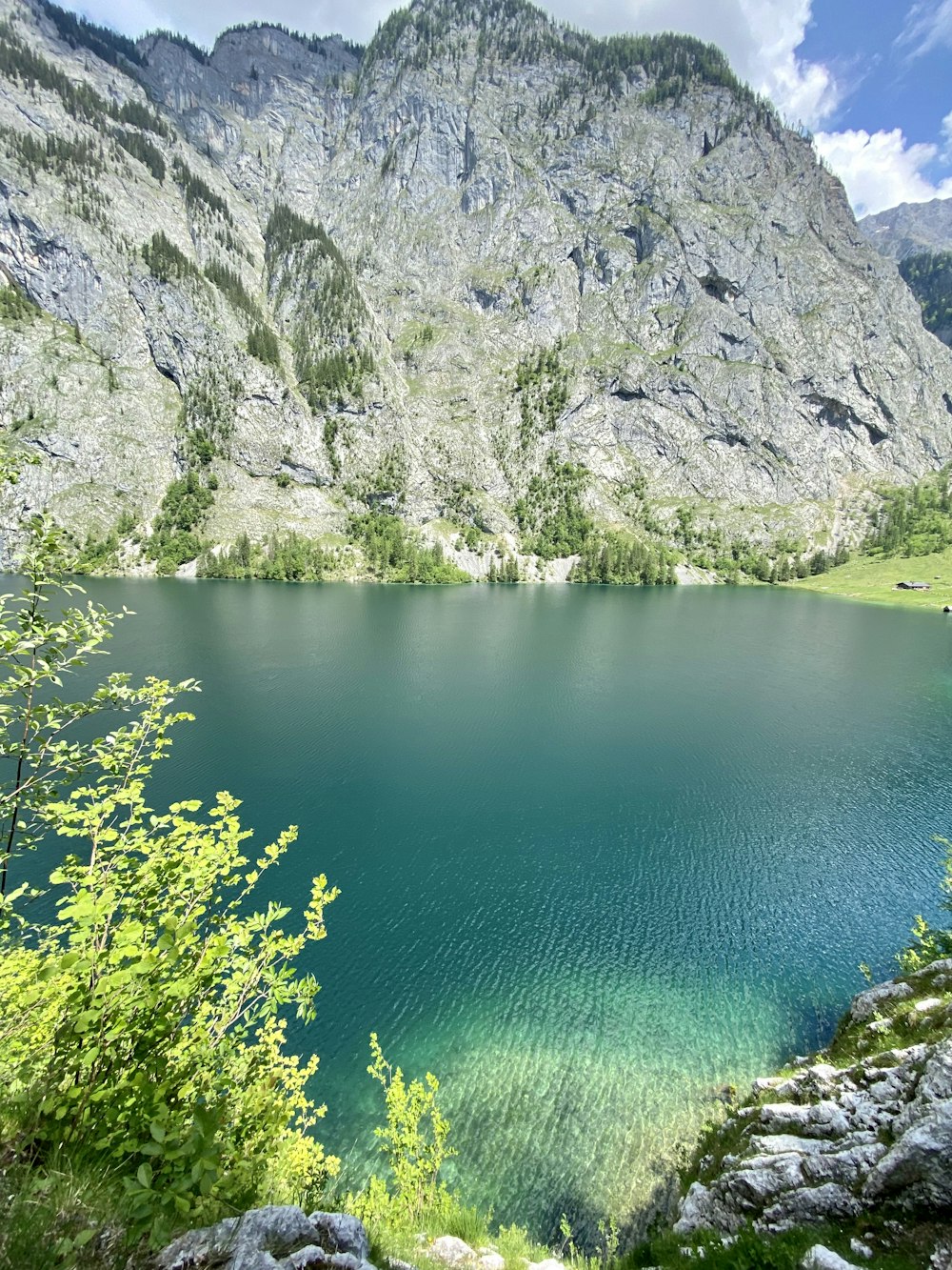 green lake surrounded by green trees and gray mountain during daytime