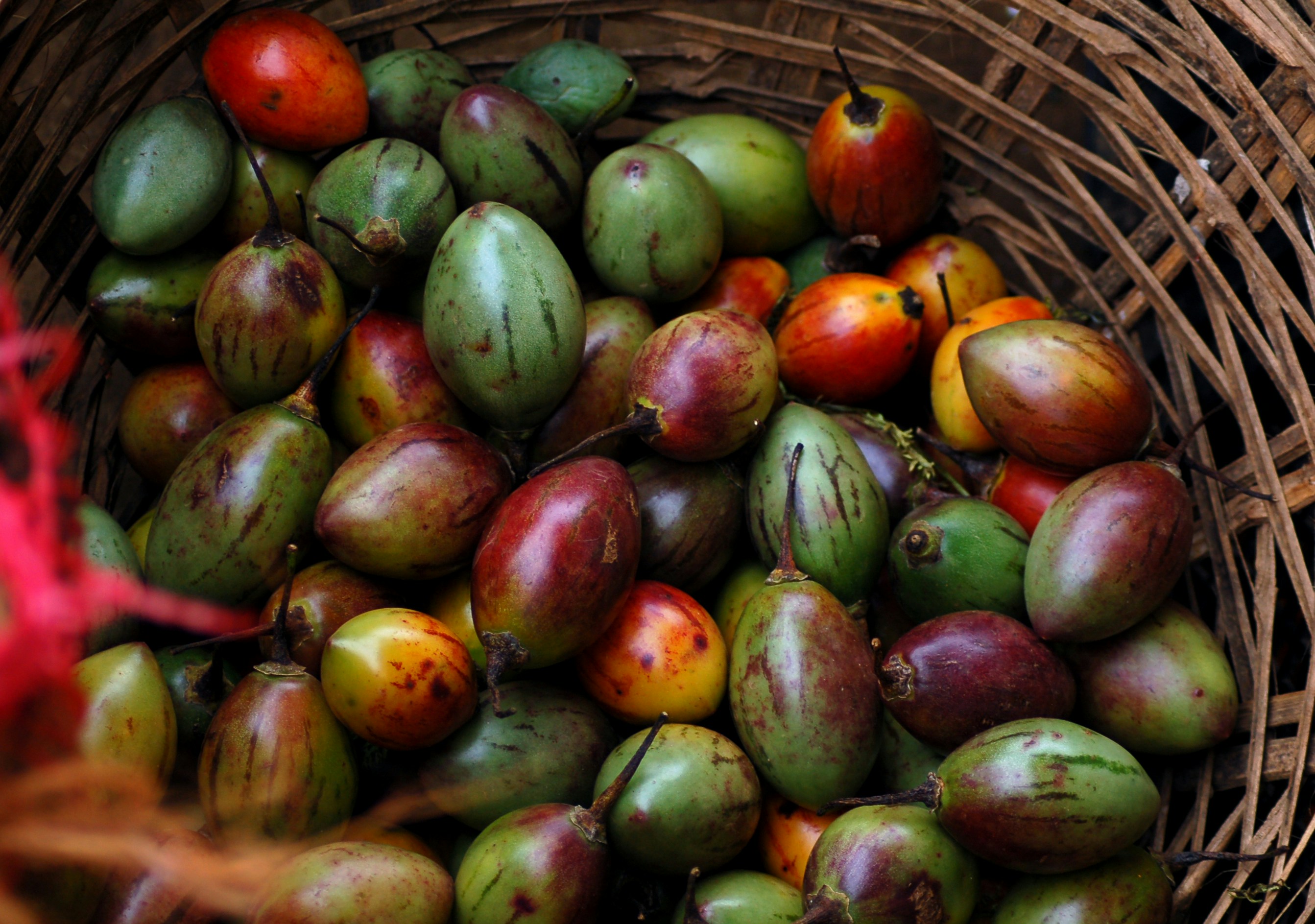 Photo by midnightink