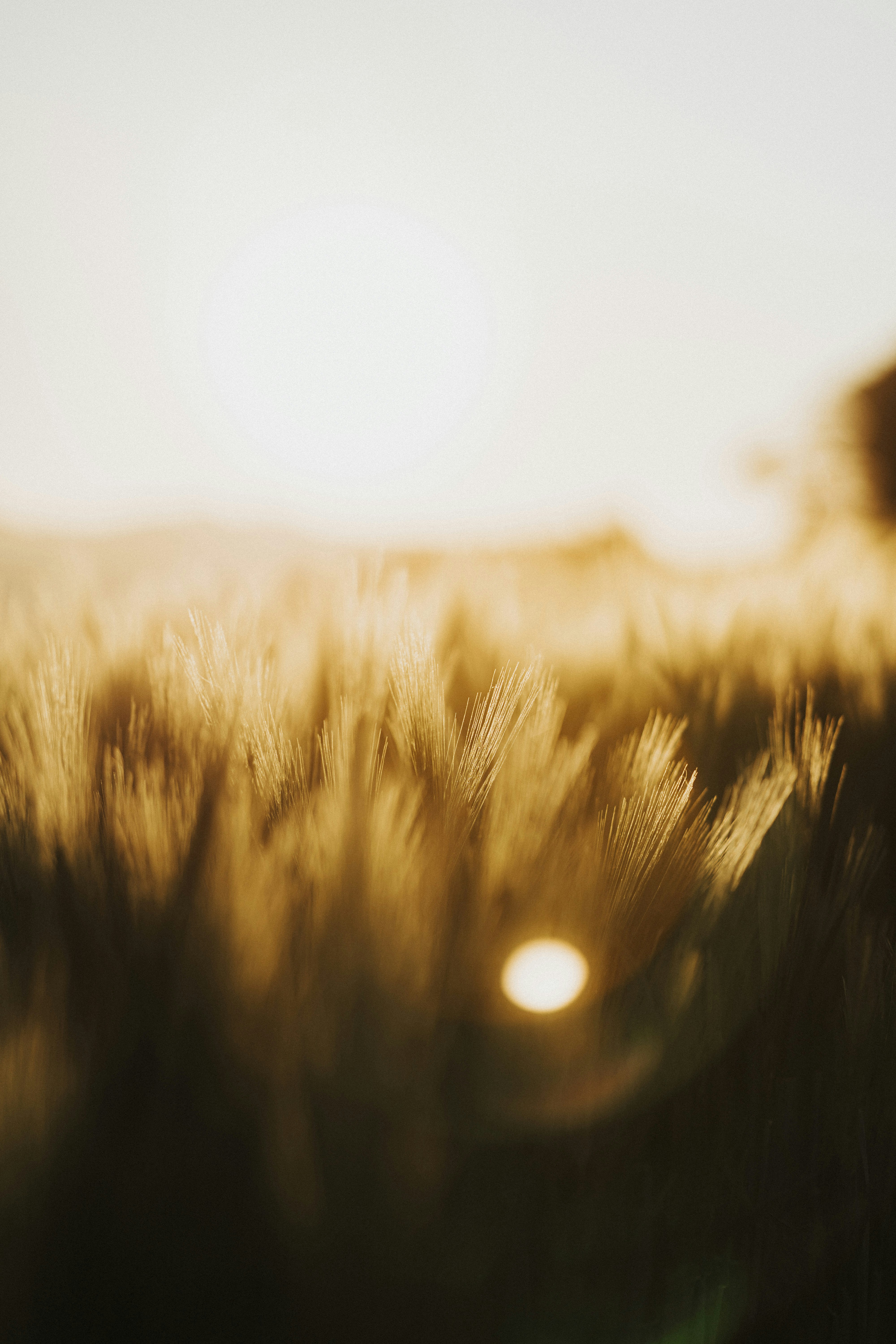 Photo by sebastianmark