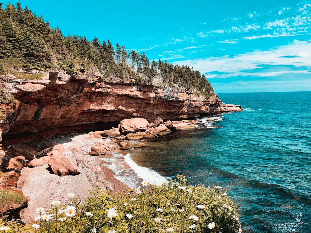 brown rocky mountain beside blue sea under blue sky during daytime