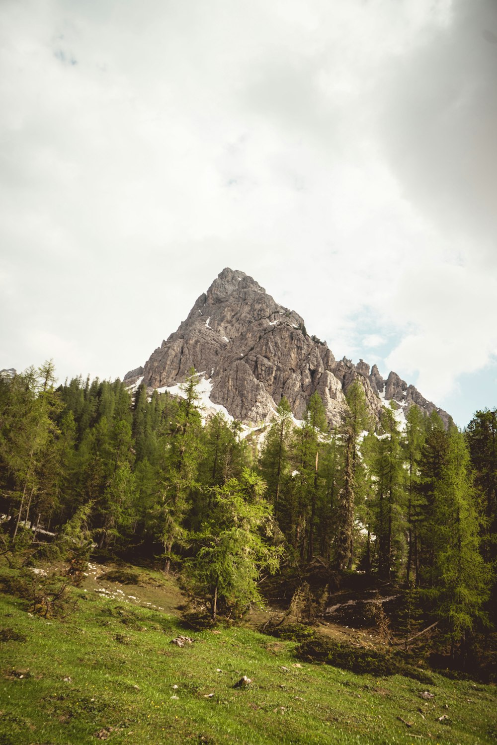 green trees near mountain under white sky during daytime