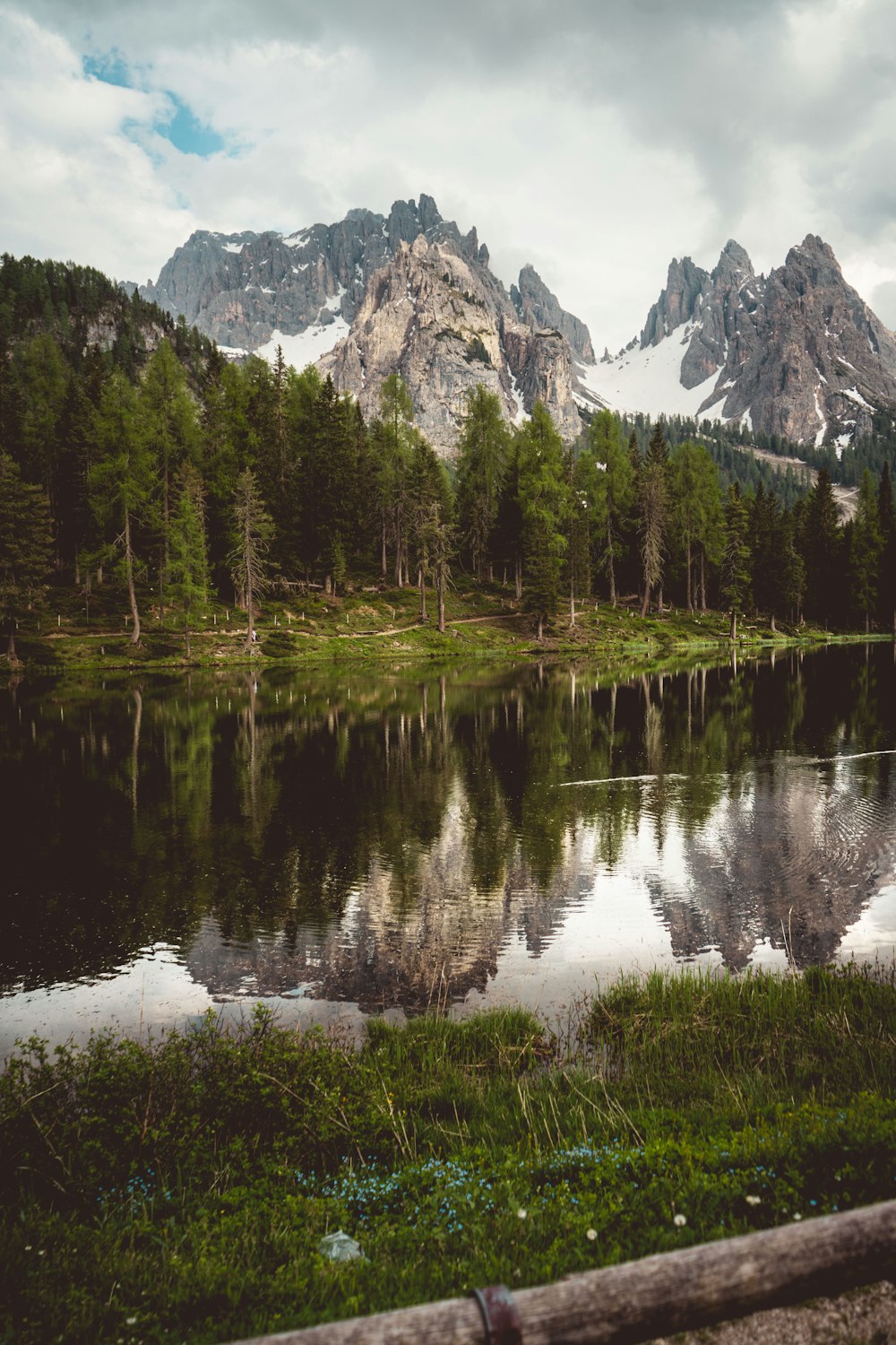 green trees near lake and mountain during daytime