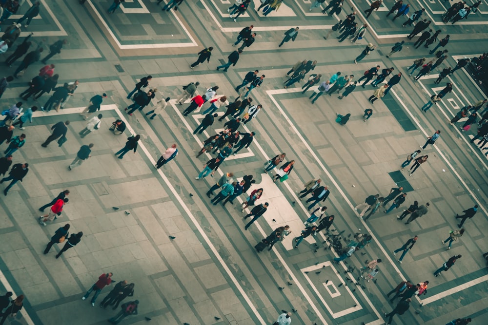 people walking on street during daytime