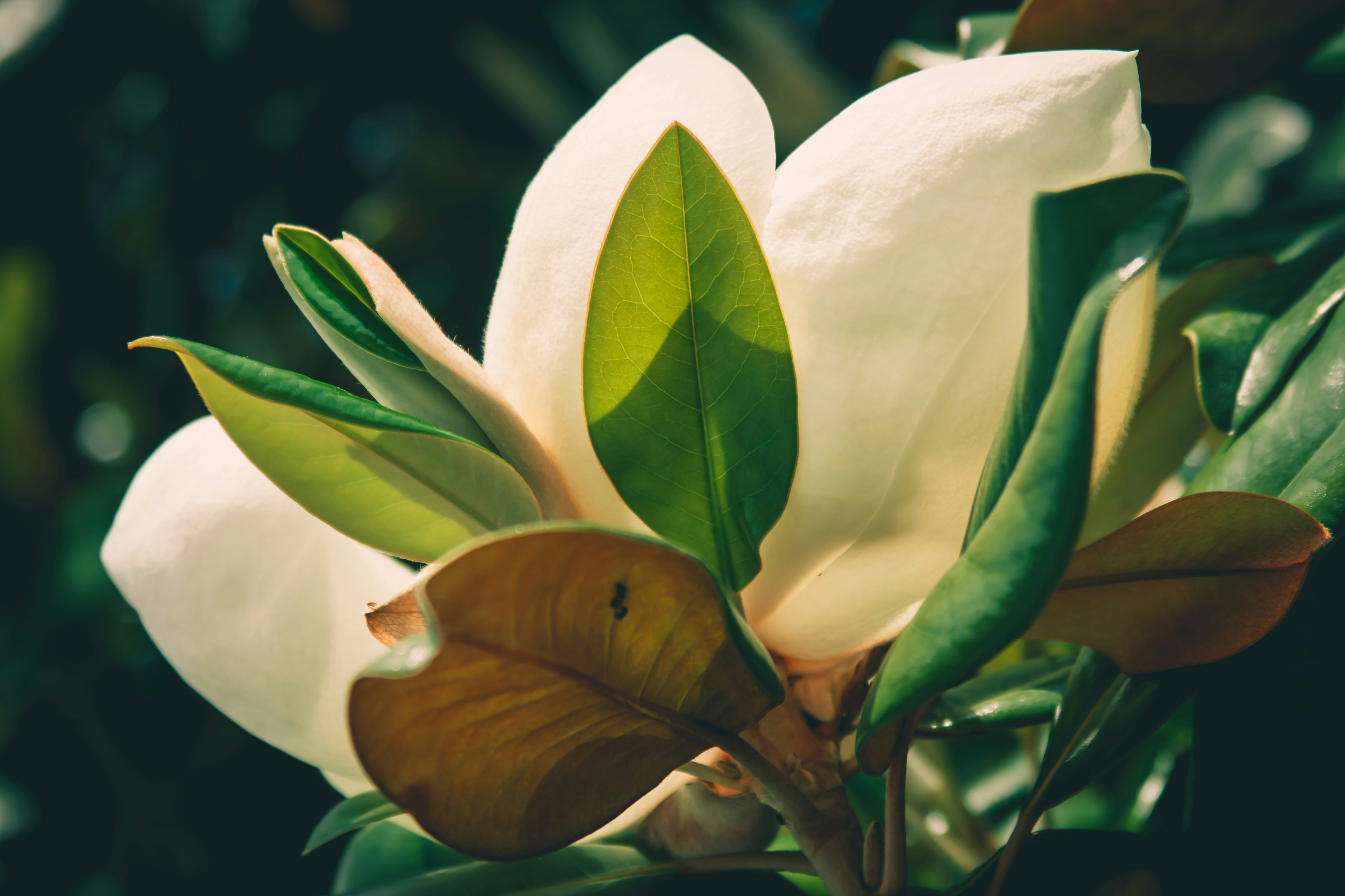 Photo by raimondklavins