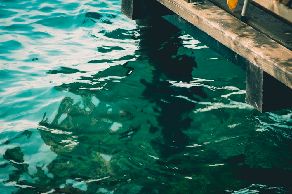 brown wooden plank on body of water during daytime