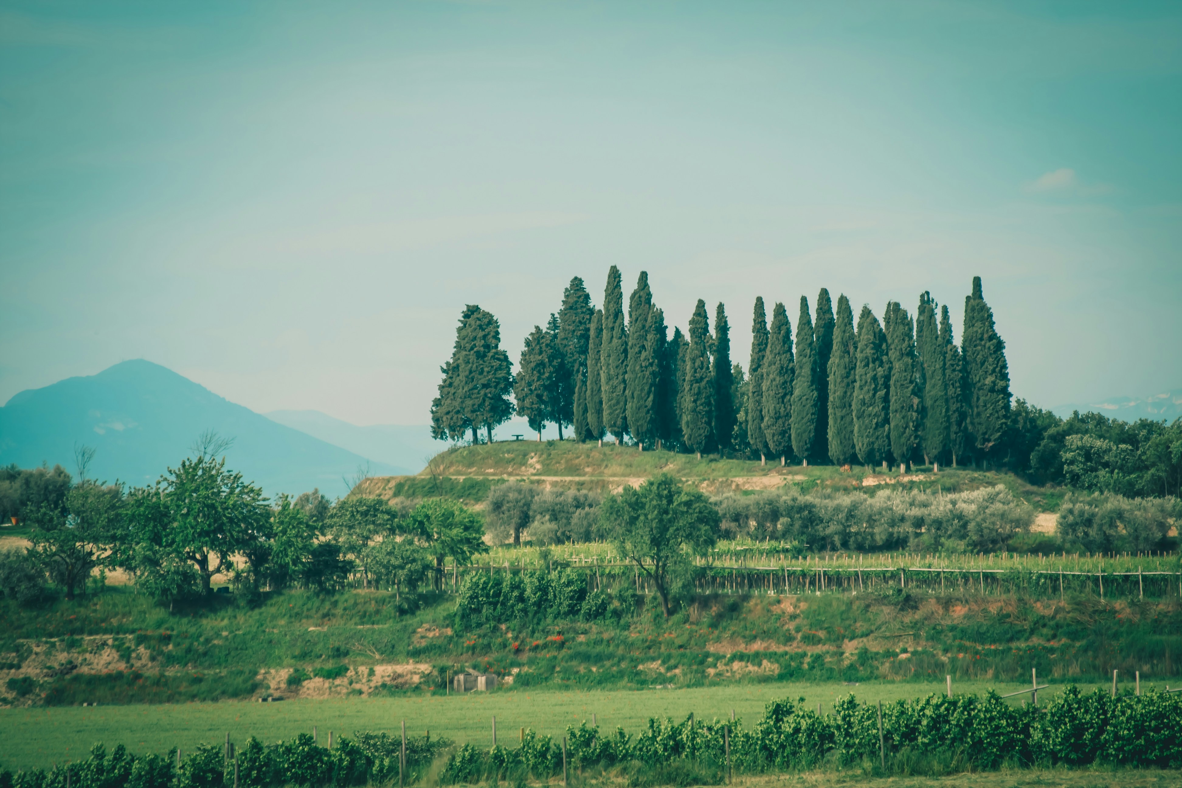 Photo by raimondklavins