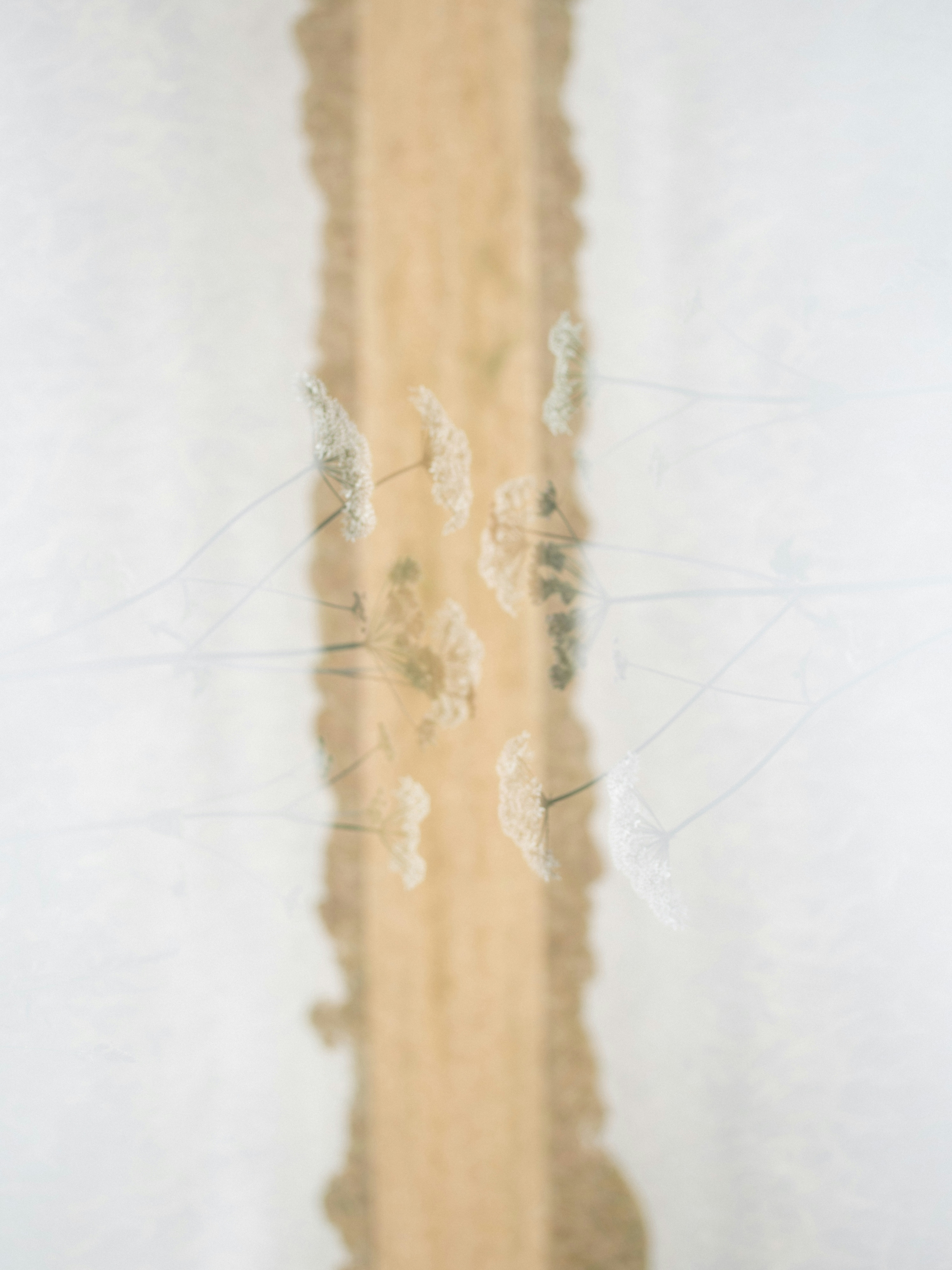 Photo by anniespratt