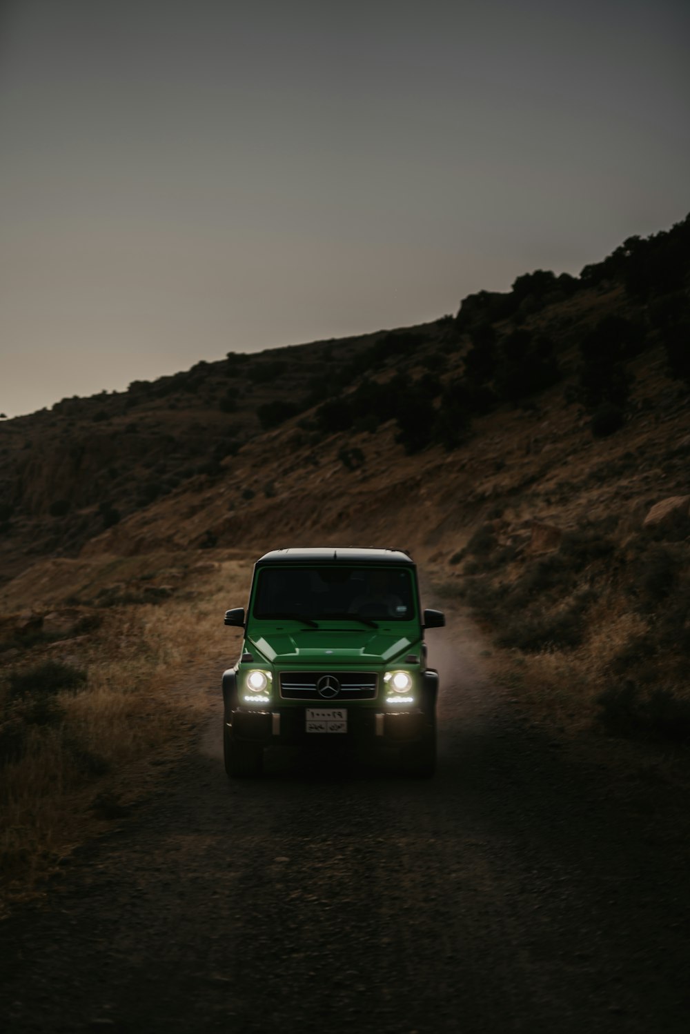 갈색 잔디 필드에 녹색 SUV