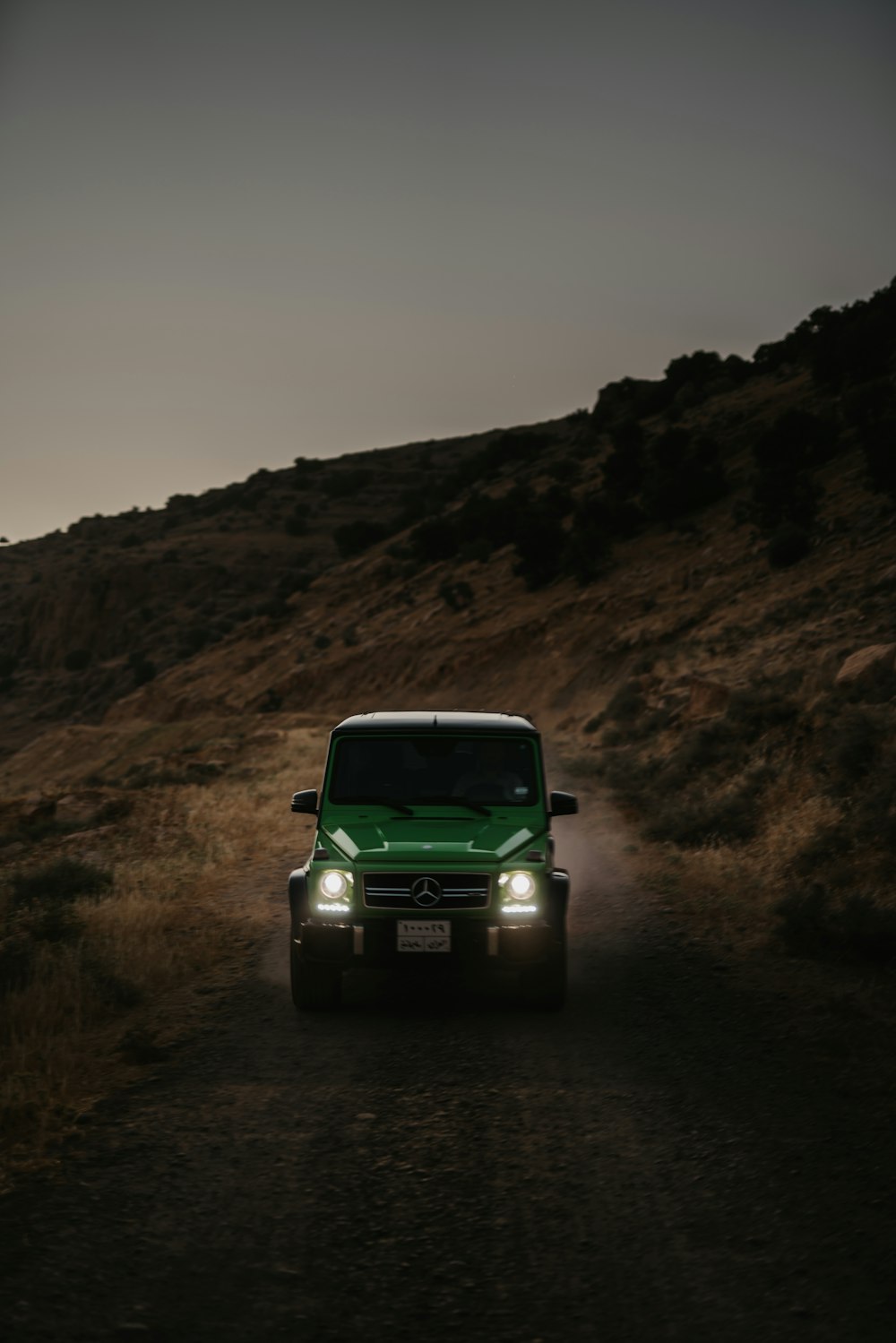 Grüner SUV auf braunem Rasen