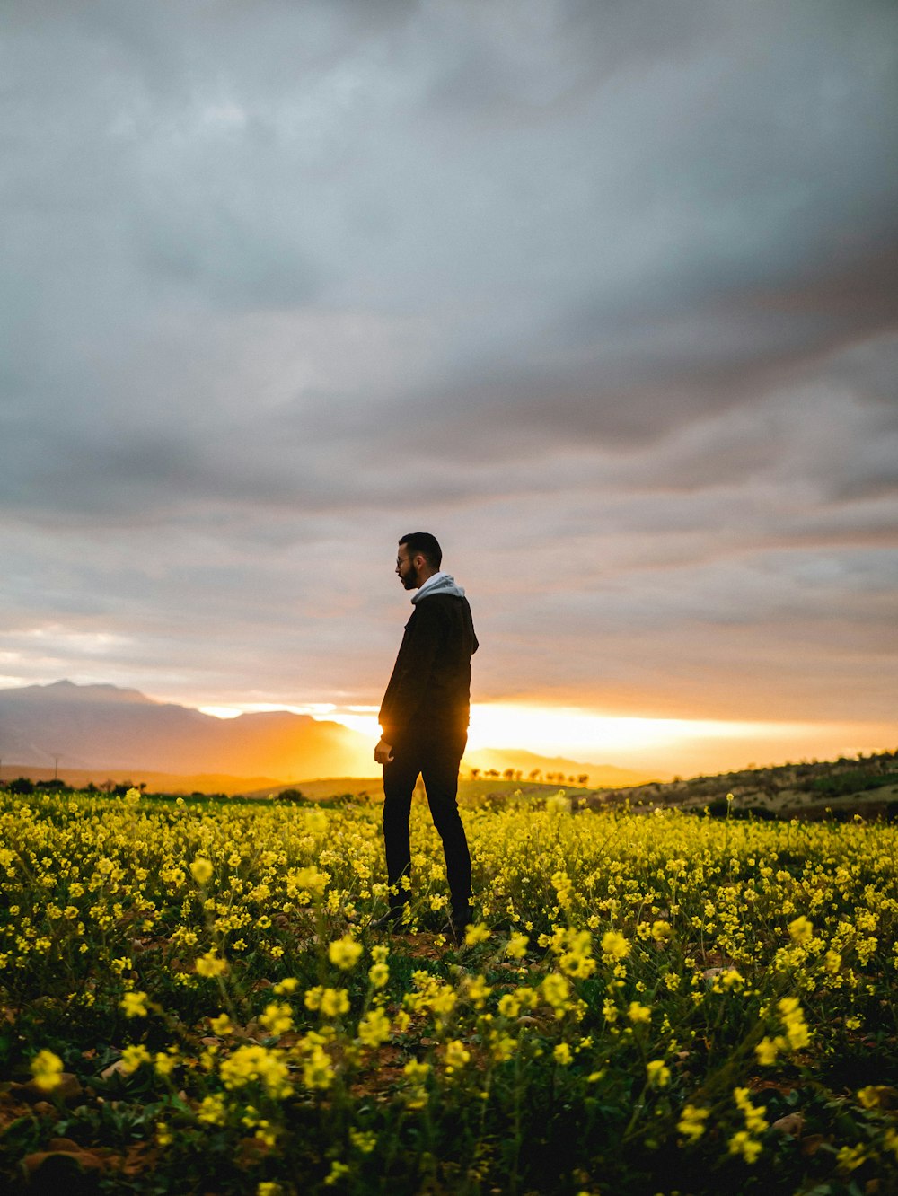 silhouette of man standing on yellow flower field during sunset