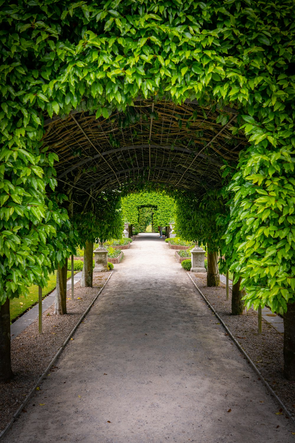 green leaves on gray concrete pathway