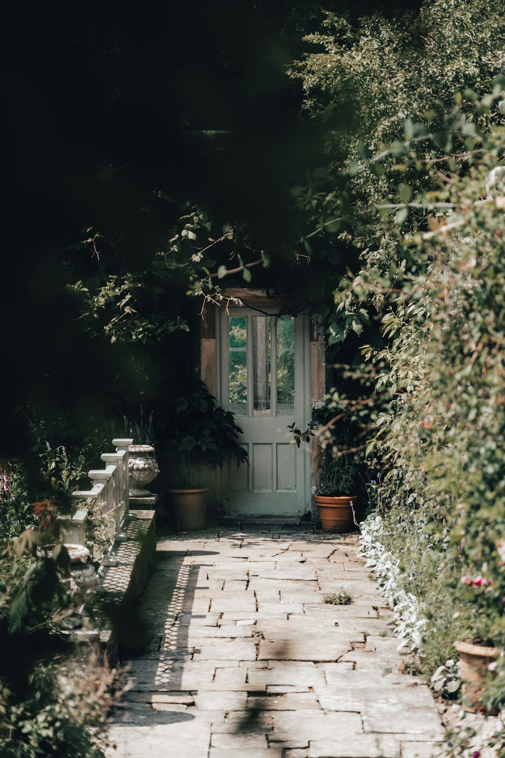 green trees near brown wooden door