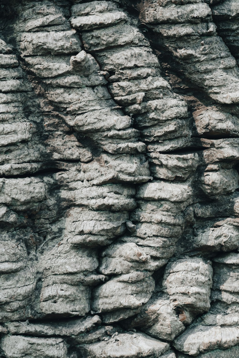 brown and gray rock formation