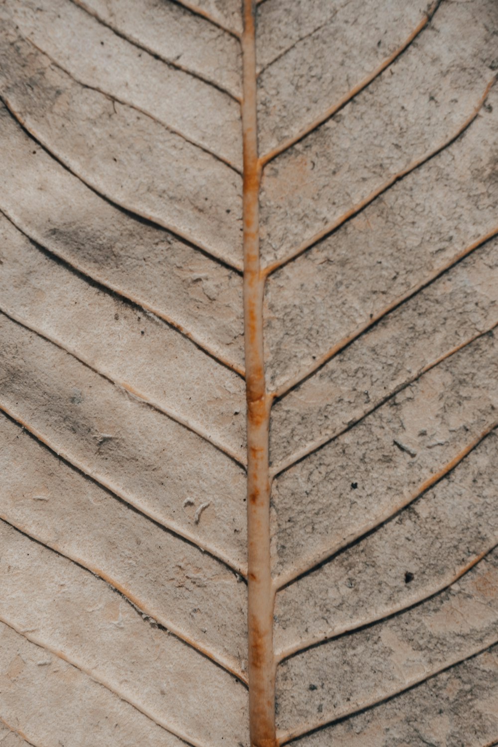 bâton en bois brun sur sol en béton gris