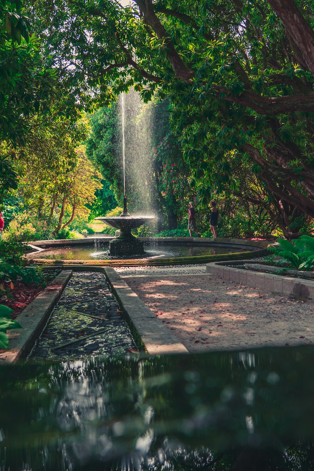 Fuente de agua en medio del bosque