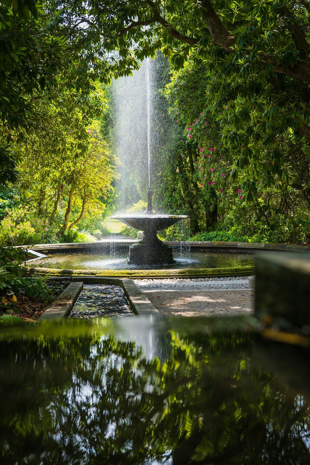 water fountain in the middle of green trees