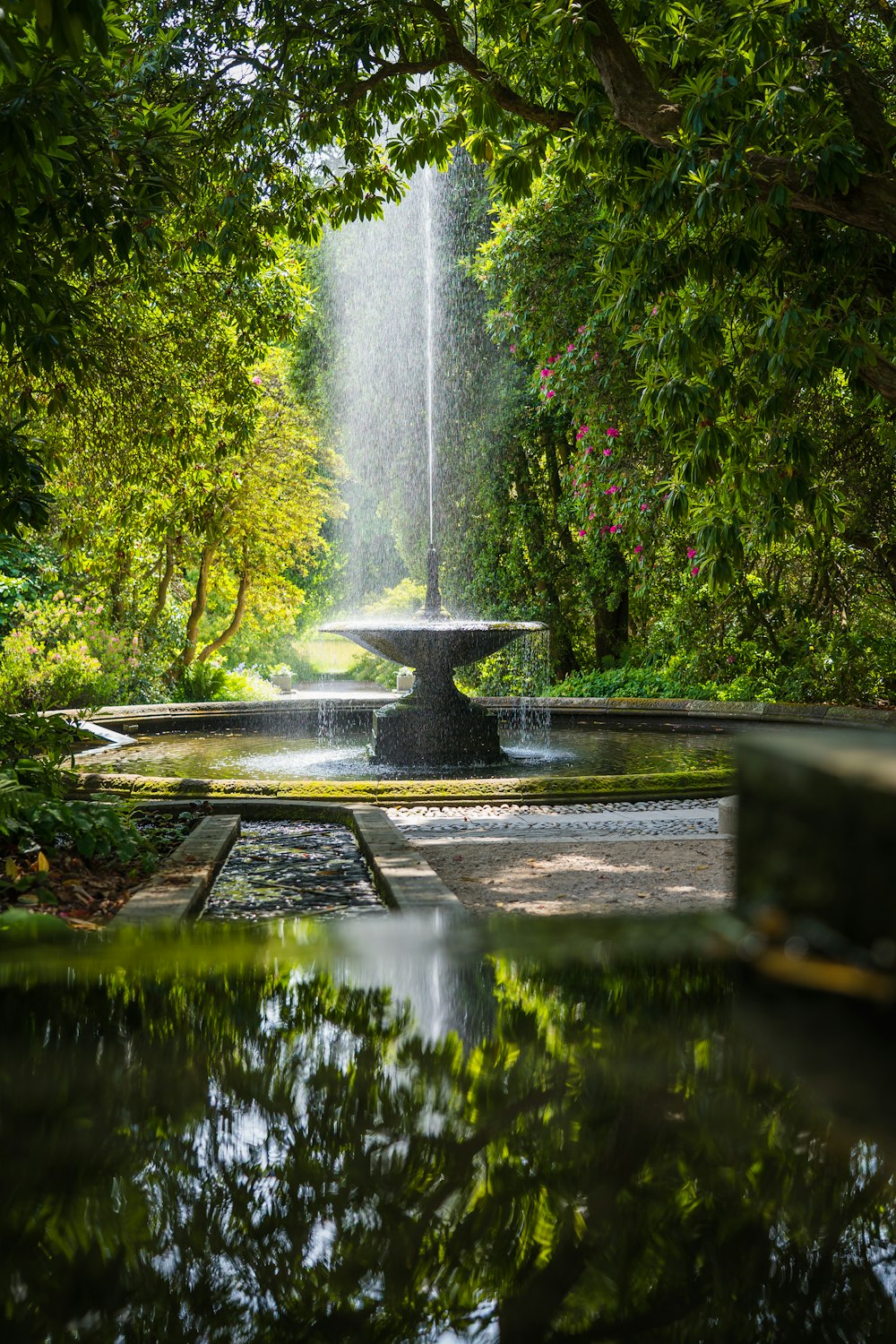 fuente de agua en medio de árboles verdes