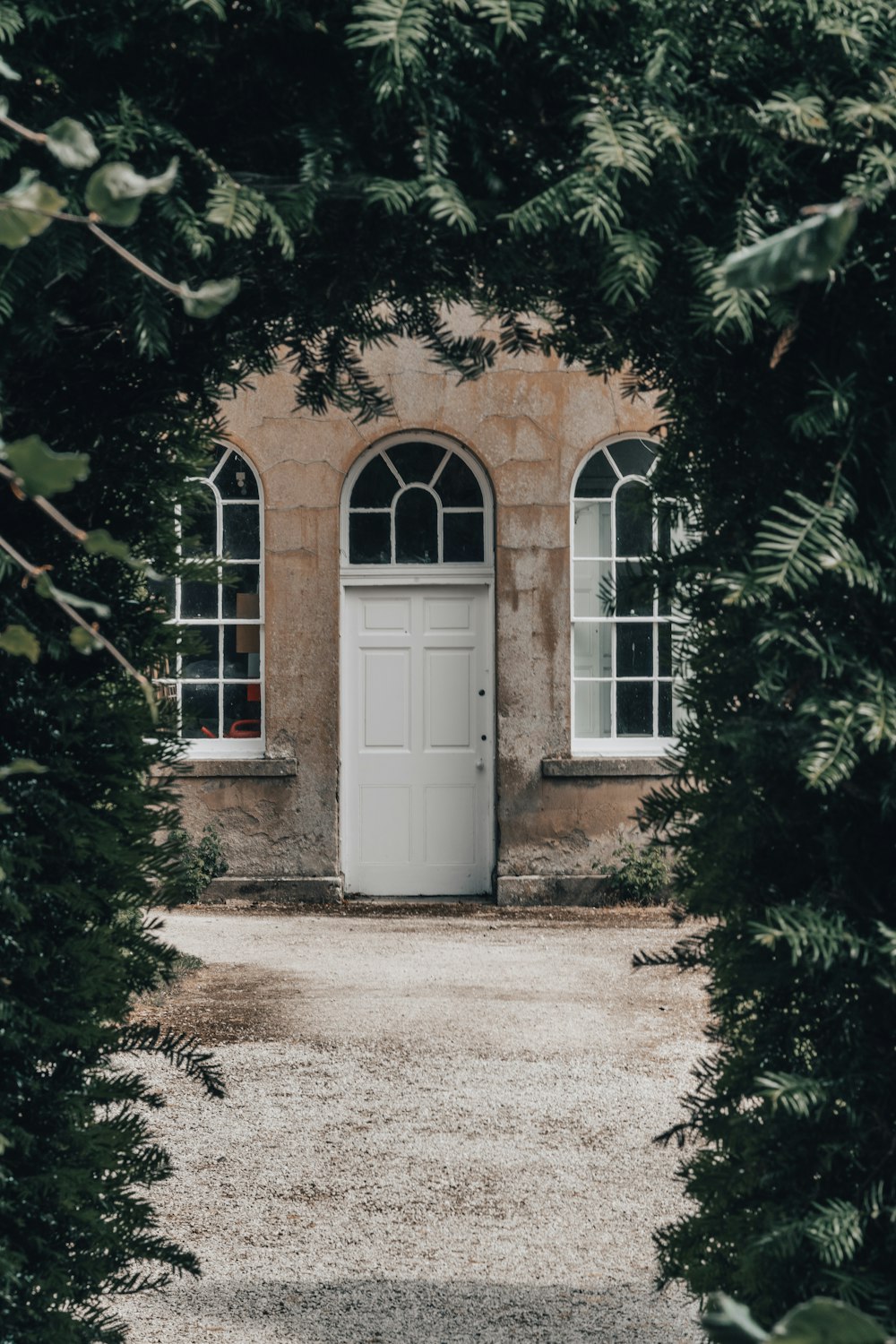 white wooden door with green plants