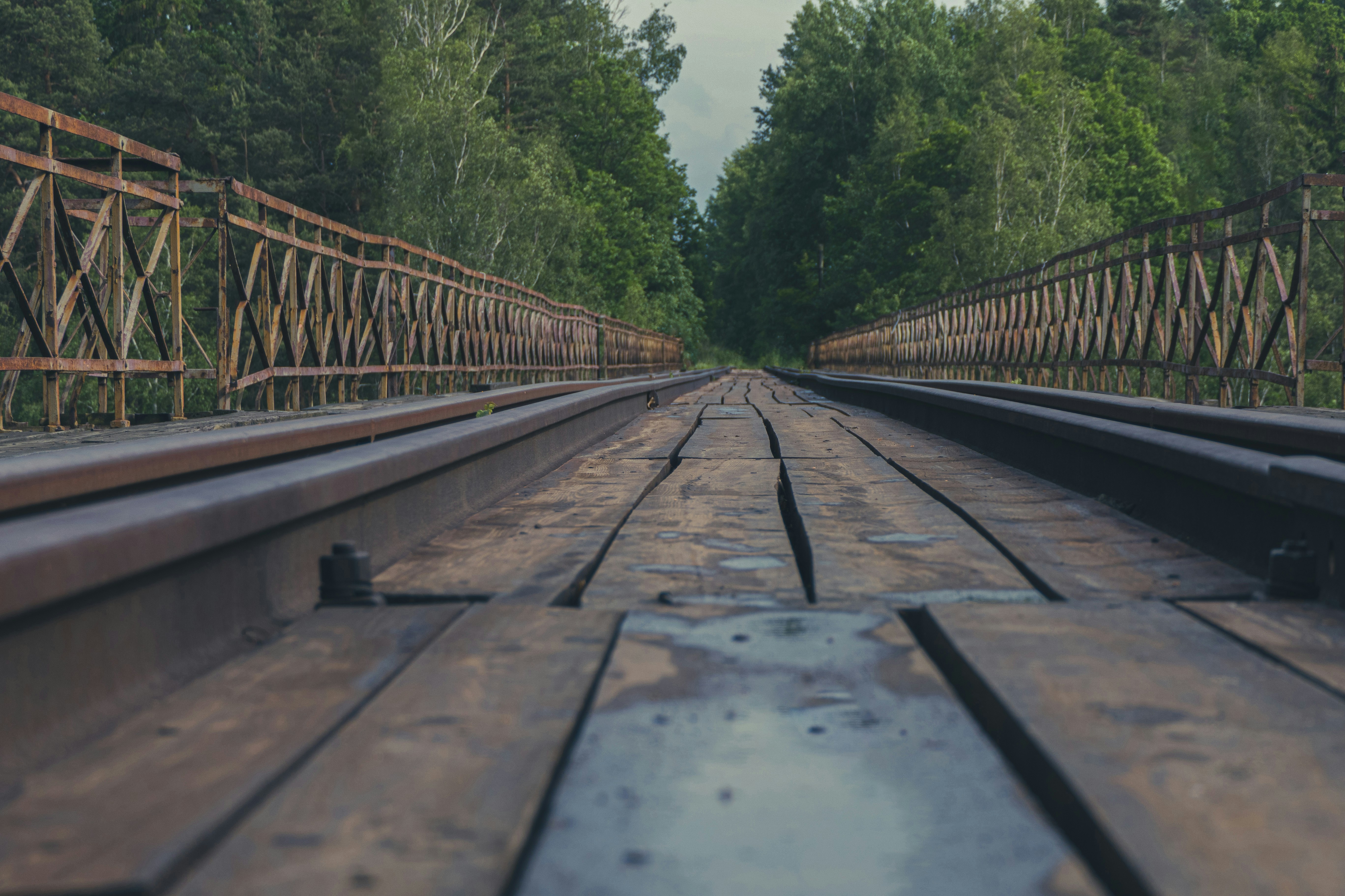 Photo by artur_luczka