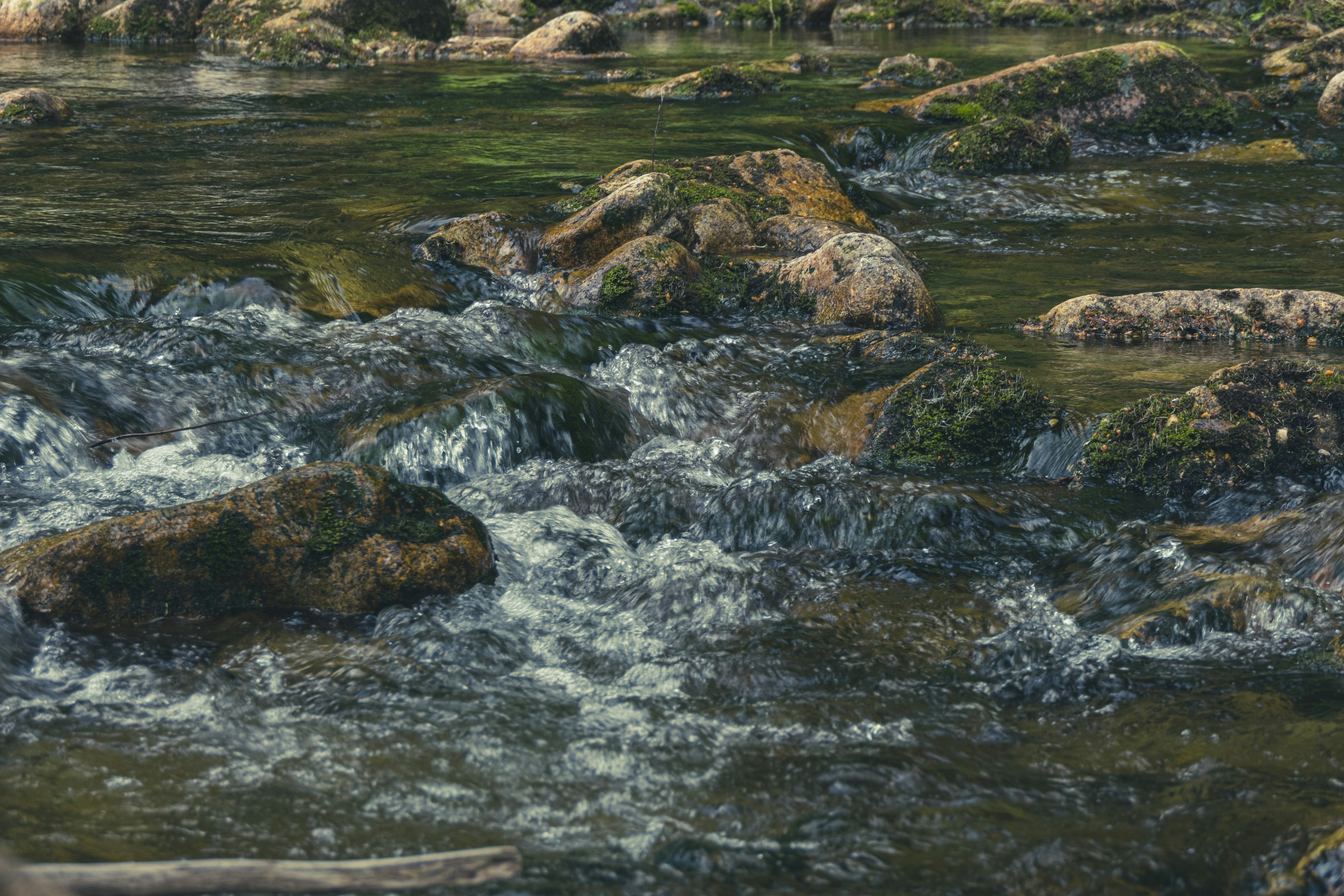 Photo by artur_luczka