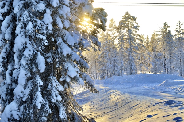 Rovaniemi, Finland