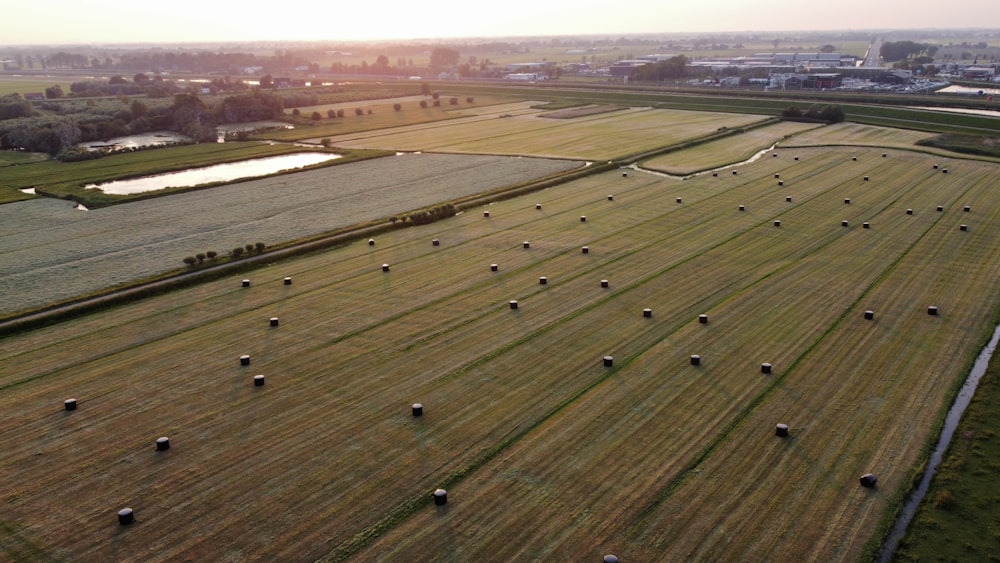 green grass field during daytime